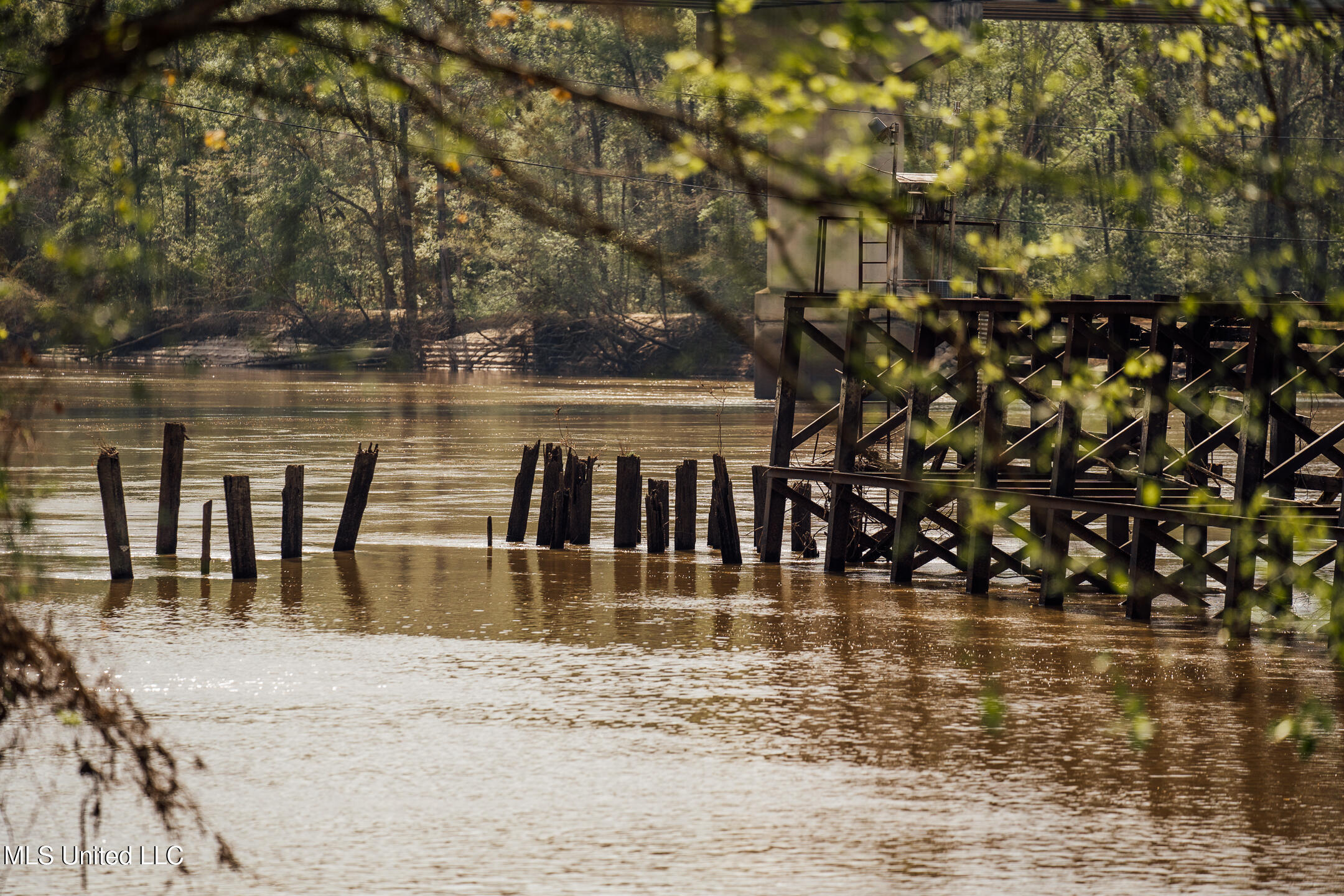 168 Adams Warner Road Poplarville, MS 39470 - Photo 43 of 55 40 Pearl River Pics-30