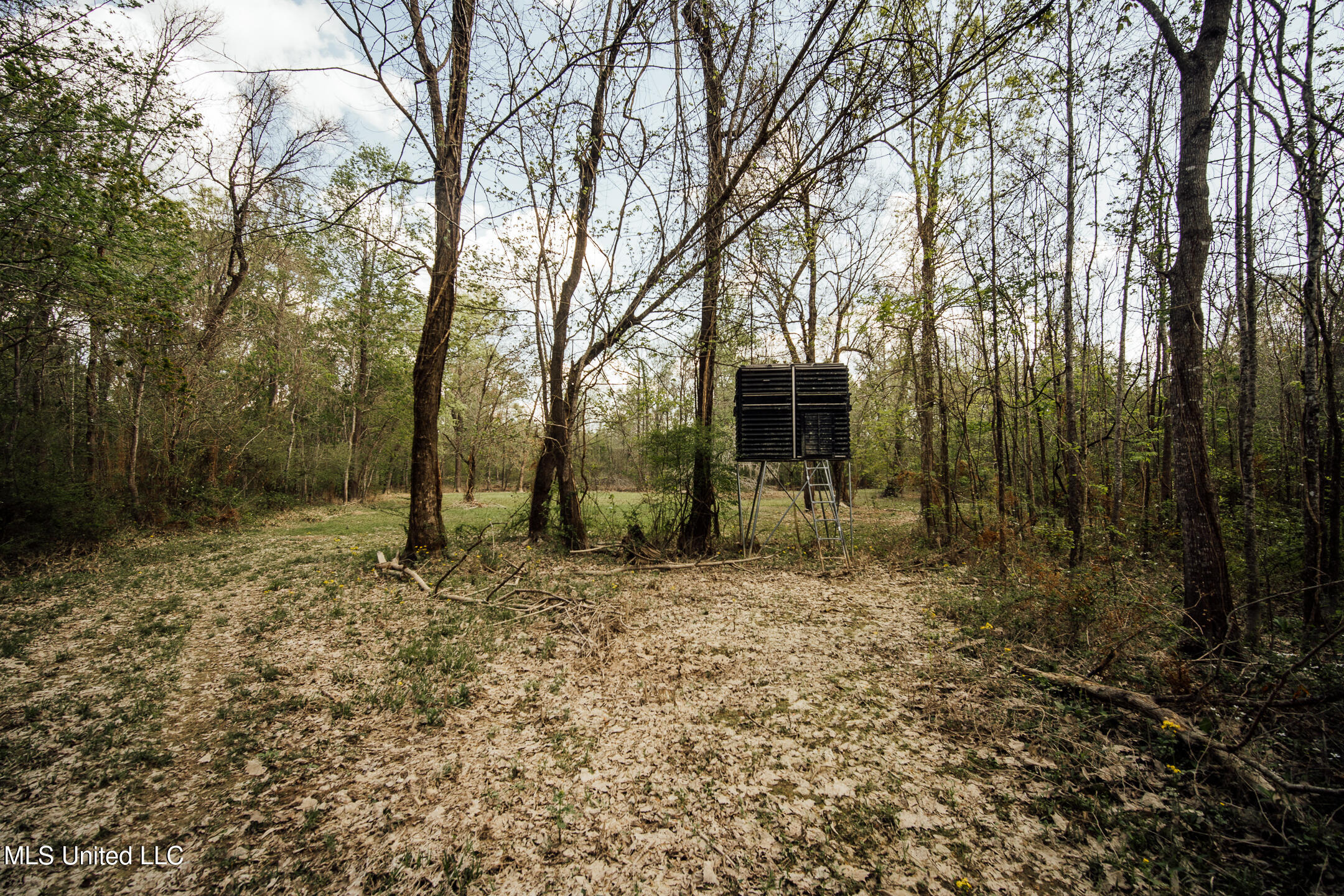 168 Adams Warner Road Poplarville, MS 39470 - Photo 46 of 55 40 Pearl River Pics-33