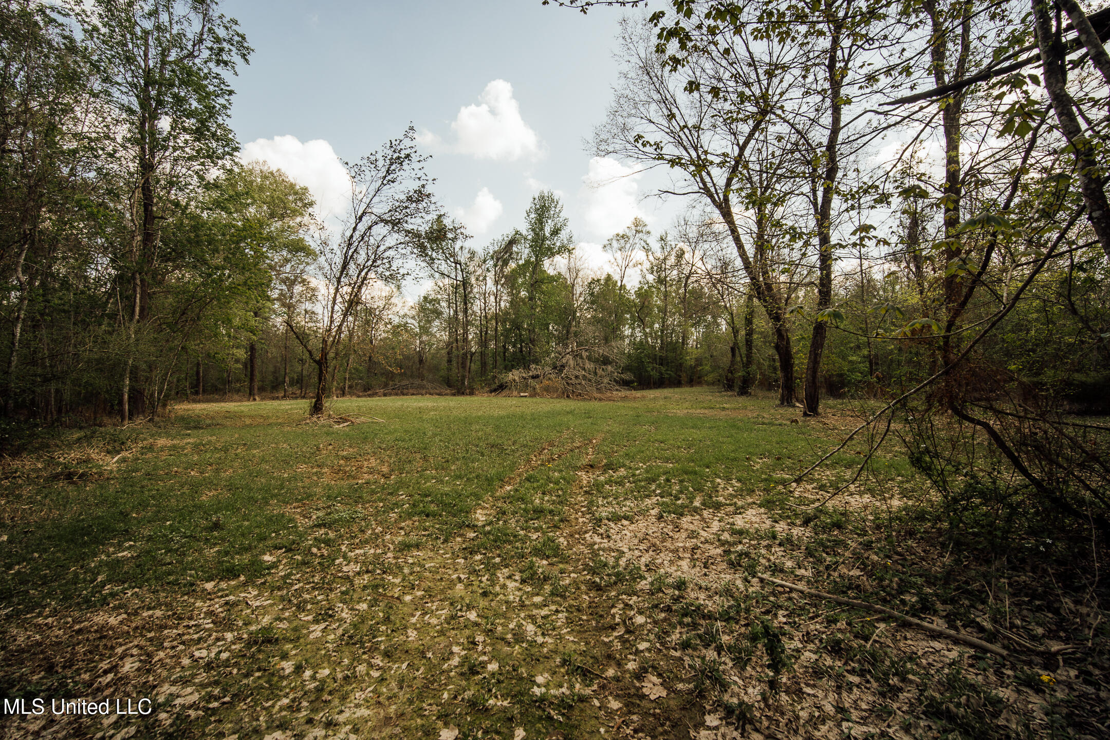 168 Adams Warner Road Poplarville, MS 39470 - Photo 47 of 55 40 Pearl River Pics-34