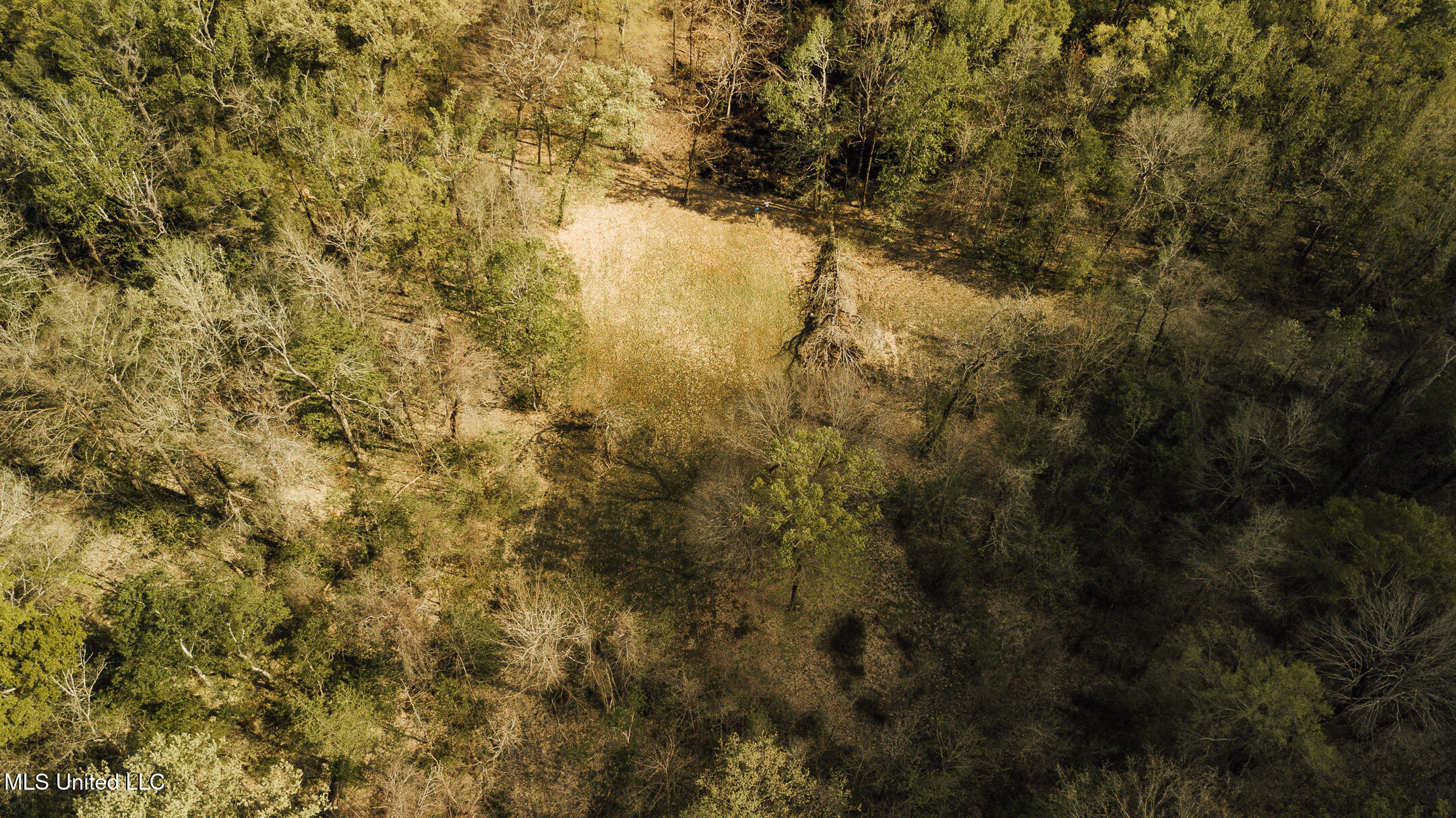 168 Adams Warner Road Poplarville, MS 39470 - Photo 5 of 55 40 Pearl River Drone-5
