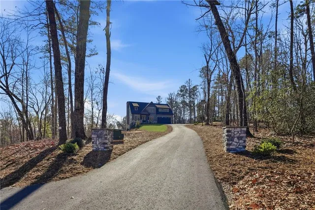 a view of a park with large trees