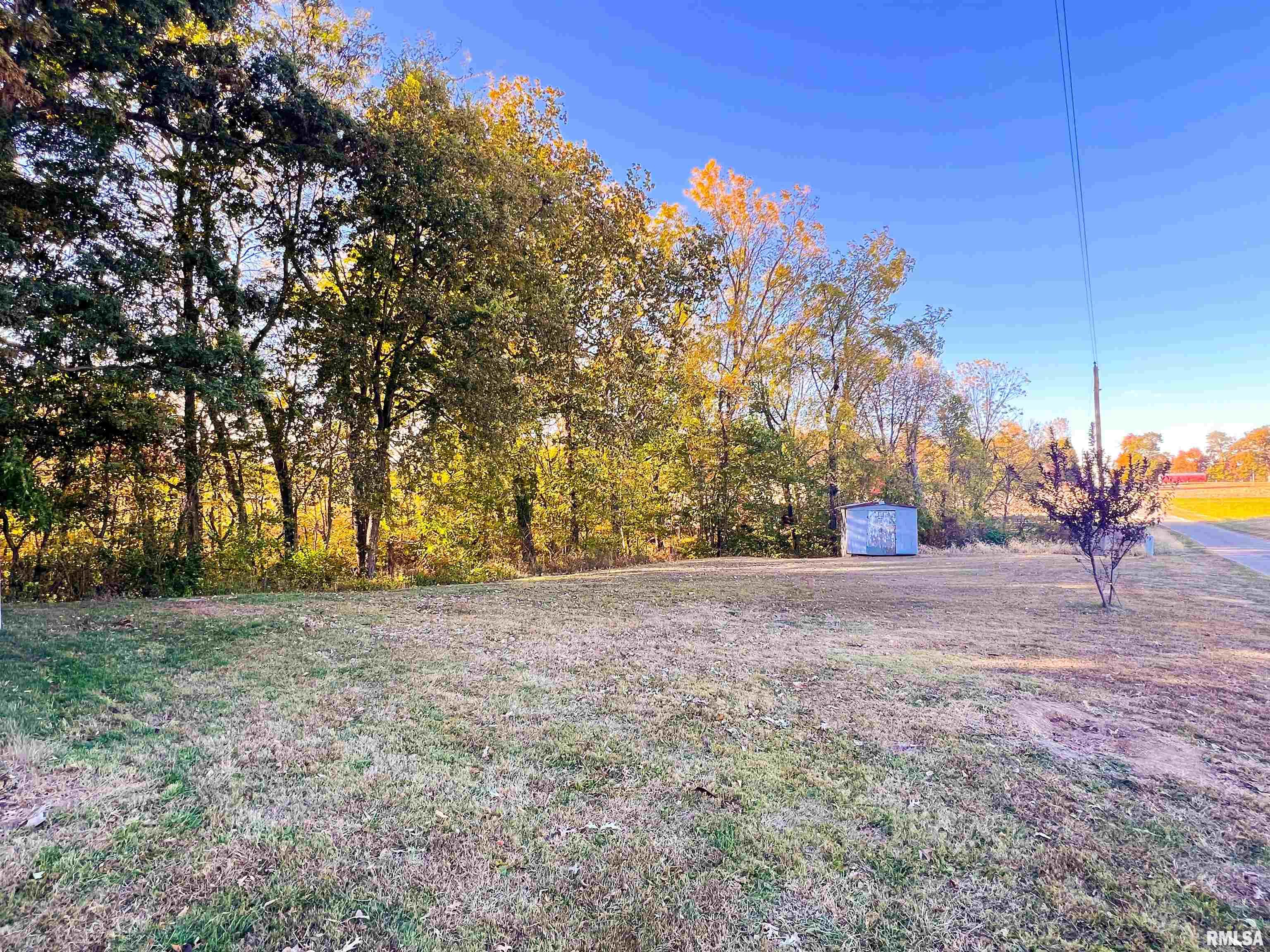 21855 Dawson Street Greenview, IL 62642 - Photo 3 of 31