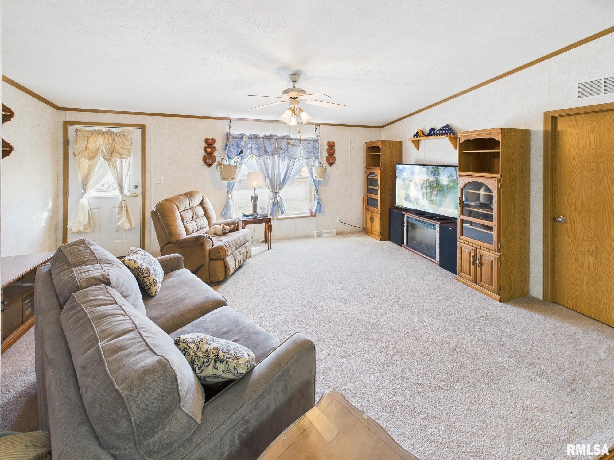 21855 Dawson Street Greenview, IL 62642 - Photo 5 of 31