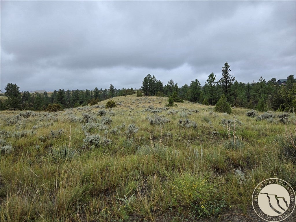 16 Mountain View Road Molt, MT 59057 - Photo 16 of 19 Gallery Image 16