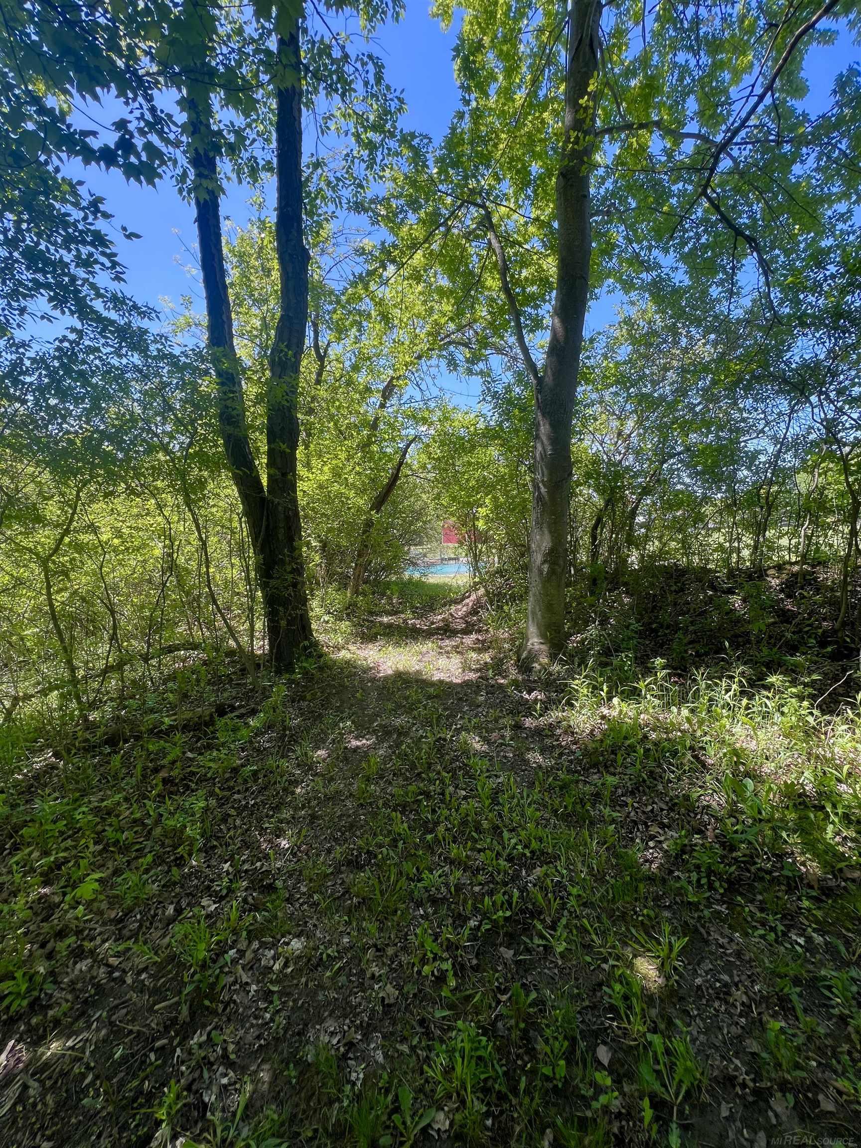 3747 Westrick Road East China, MI 48054 - Photo 6 of 99