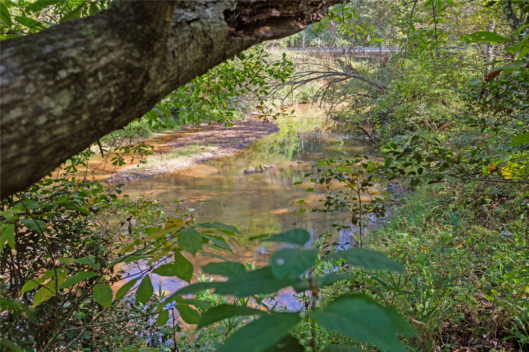 621 Burns Mill Road West Union, SC 29696 - Photo 33 of 45 Discover a tranquil stream meandering through verdant, natural surroundings.