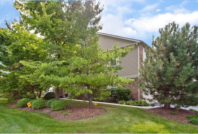 5451 McDonough Road Hoffman Estates, IL 60192 - Photo 30 of 30 a view of a backyard
