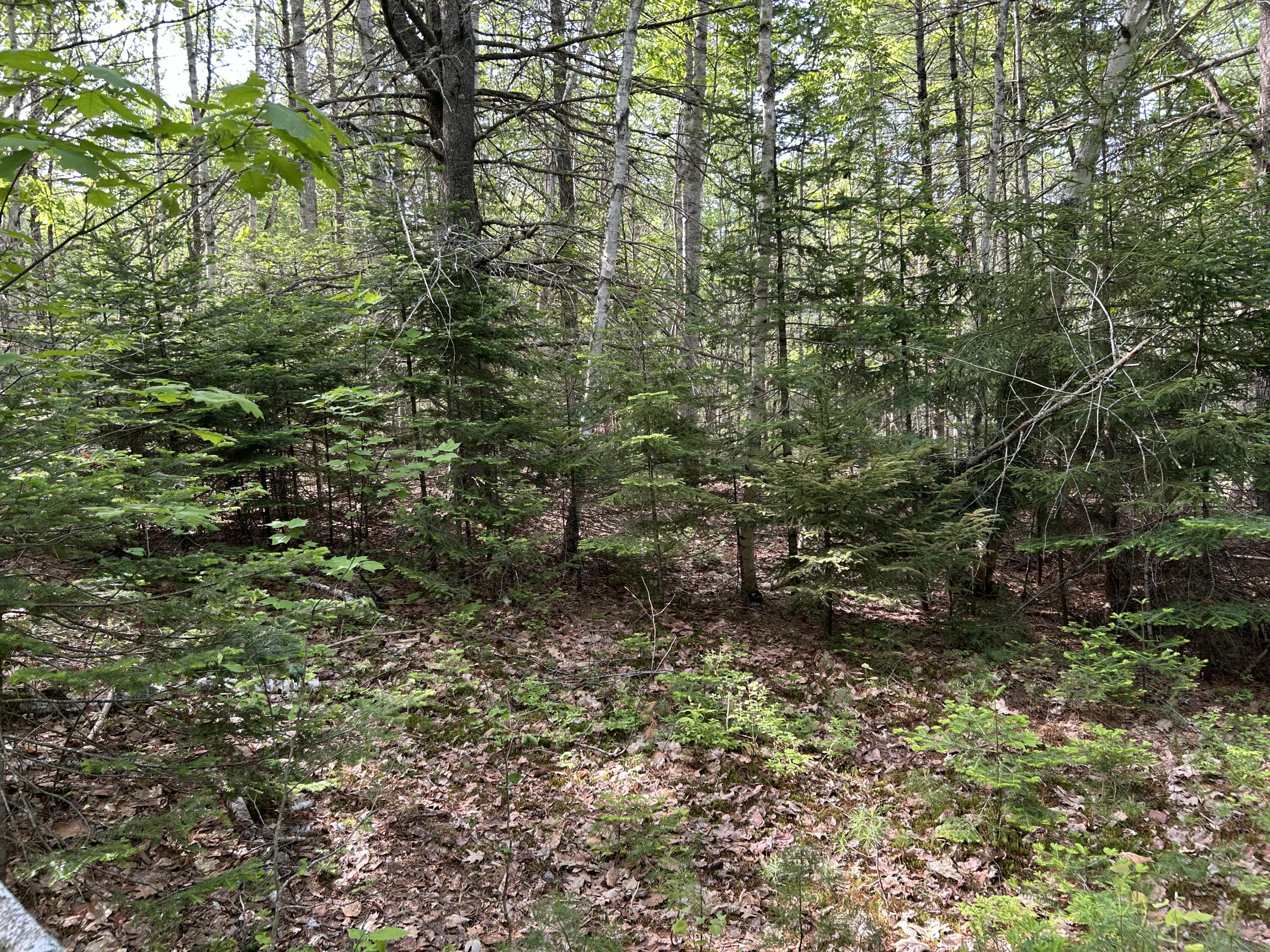 M5-l16 Clark Road Prospect, ME 04981 - Photo 35 of 45 IMG_8763
