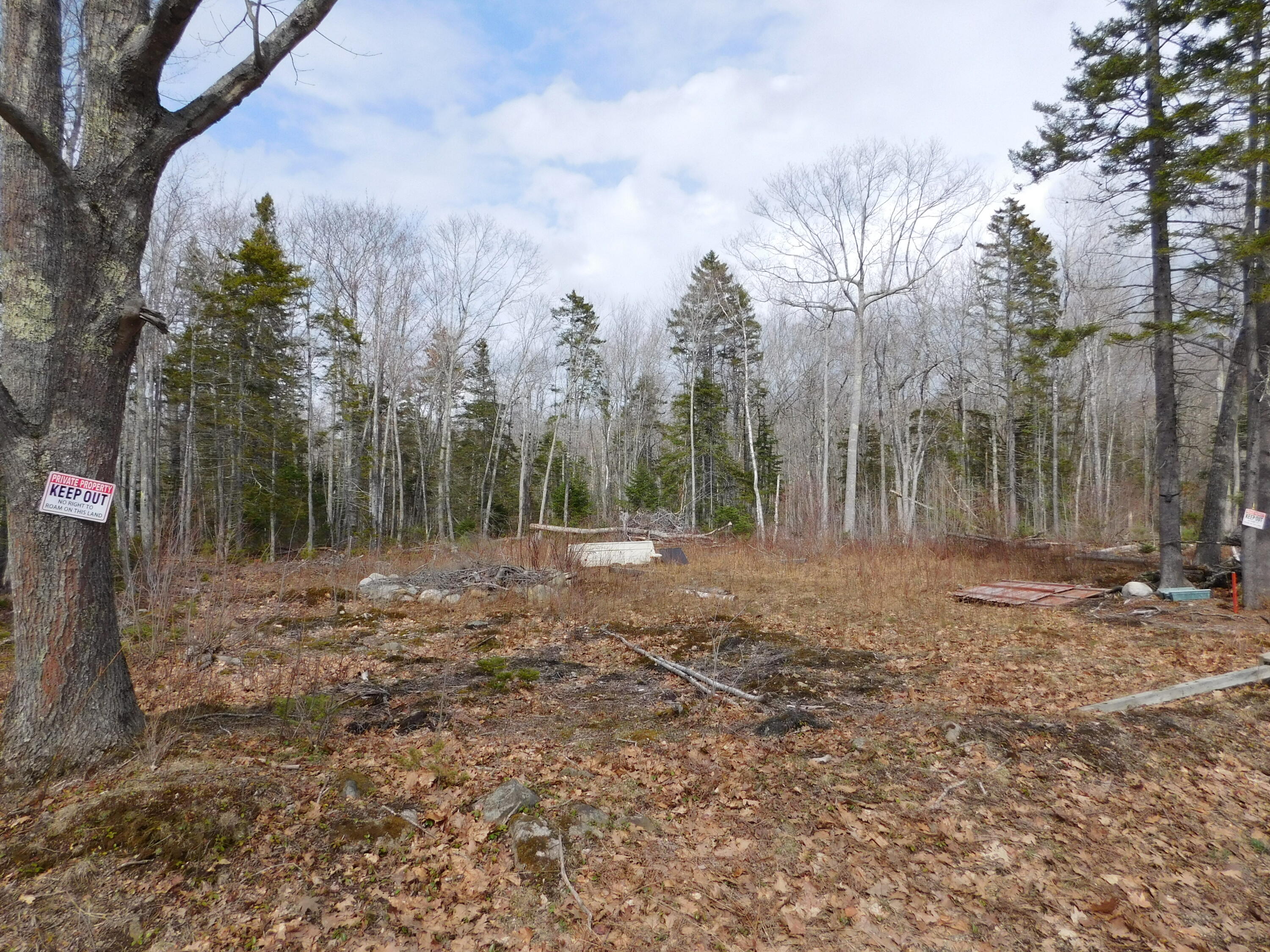 Lot # Beech Hill Road Northport, ME 04849 - Photo 1 of 5 DSCN0486
