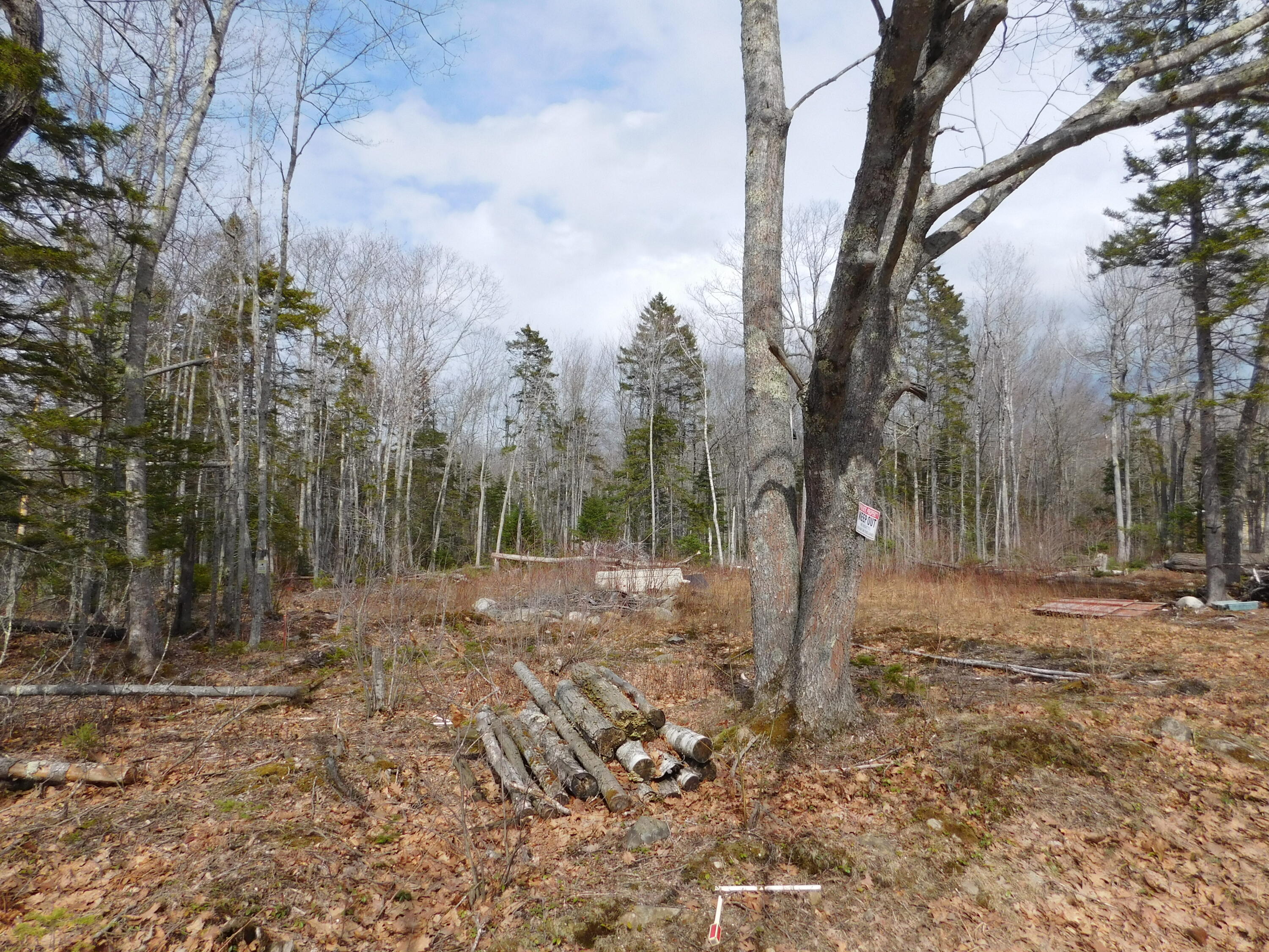 Lot # Beech Hill Road Northport, ME 04849 - Photo 2 of 5 DSCN0485