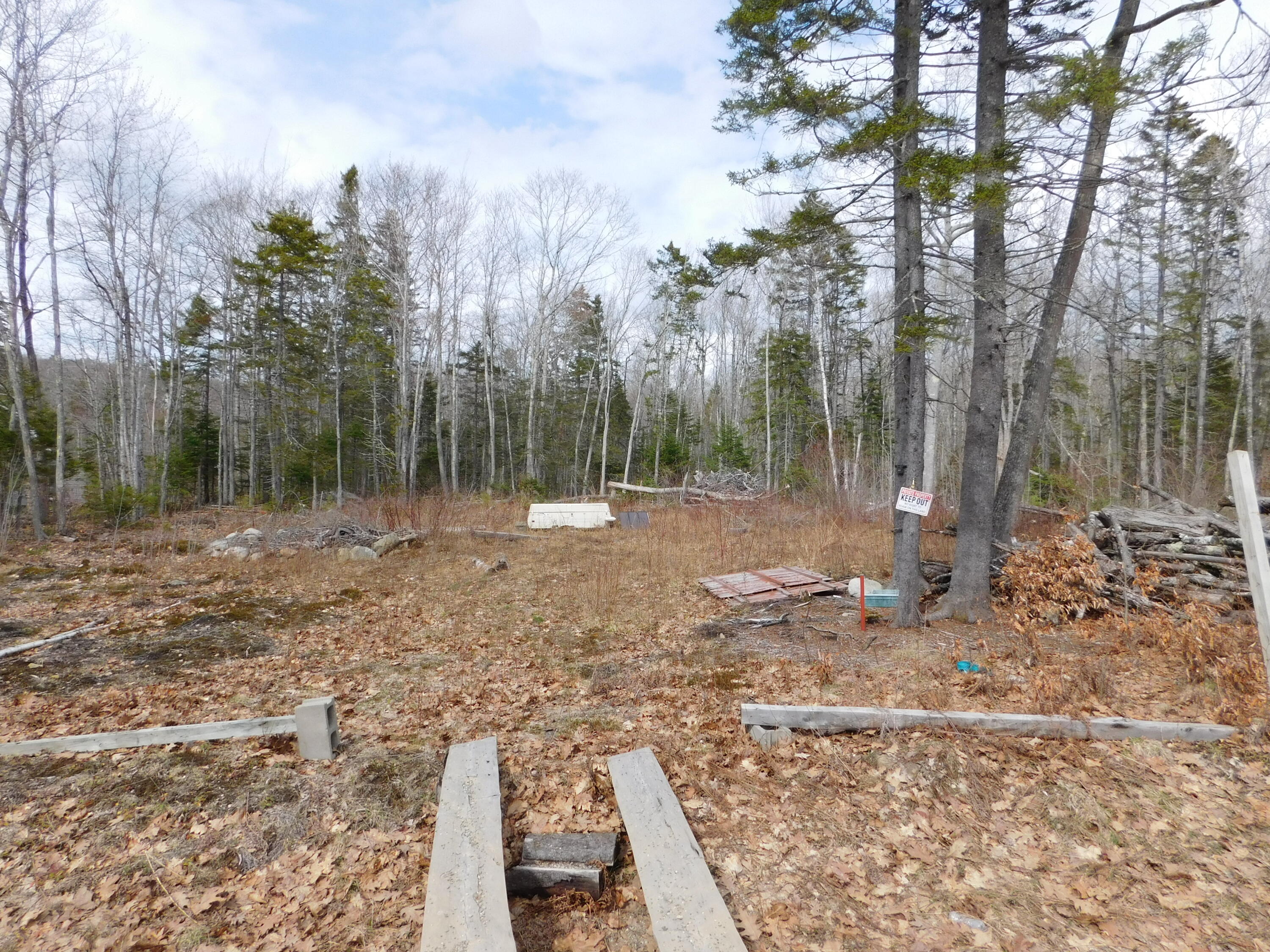 Lot # Beech Hill Road Northport, ME 04849 - Photo 3 of 5 DSCN0487