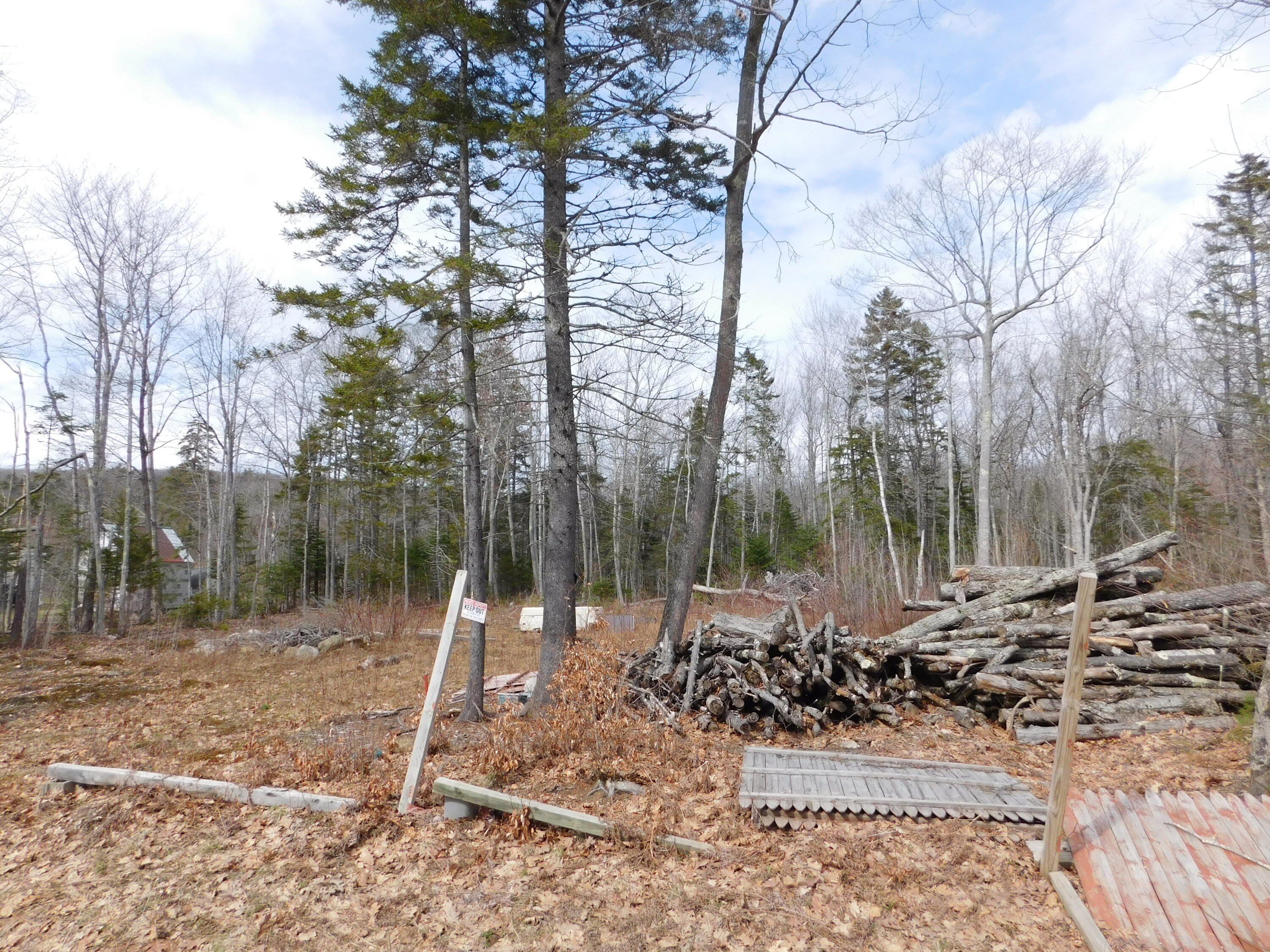 Lot # Beech Hill Road Northport, ME 04849 - Photo 4 of 5 DSCN0488