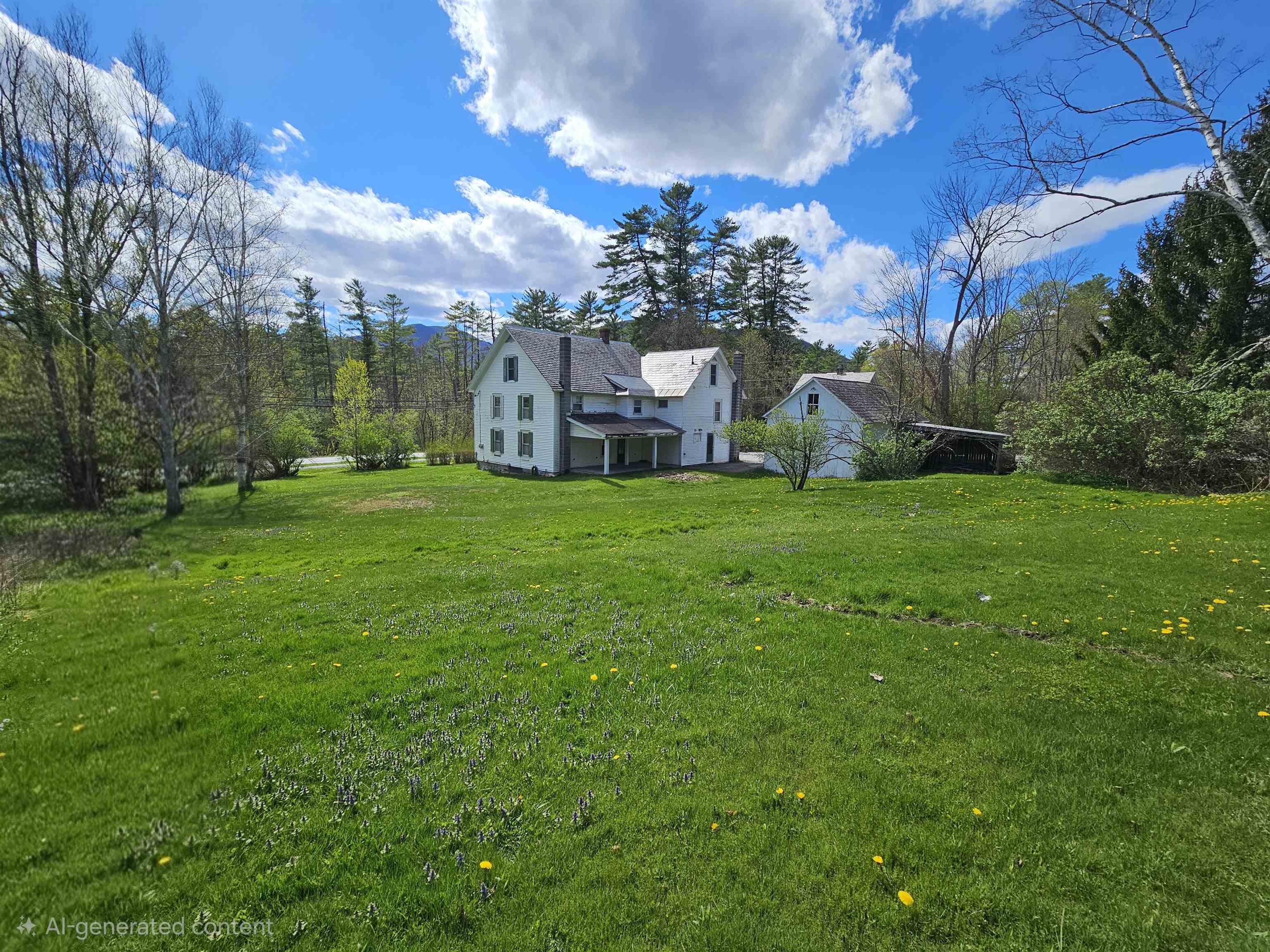 569 Buck Hill Road Arlington, VT 05250 - Photo 3 of 42