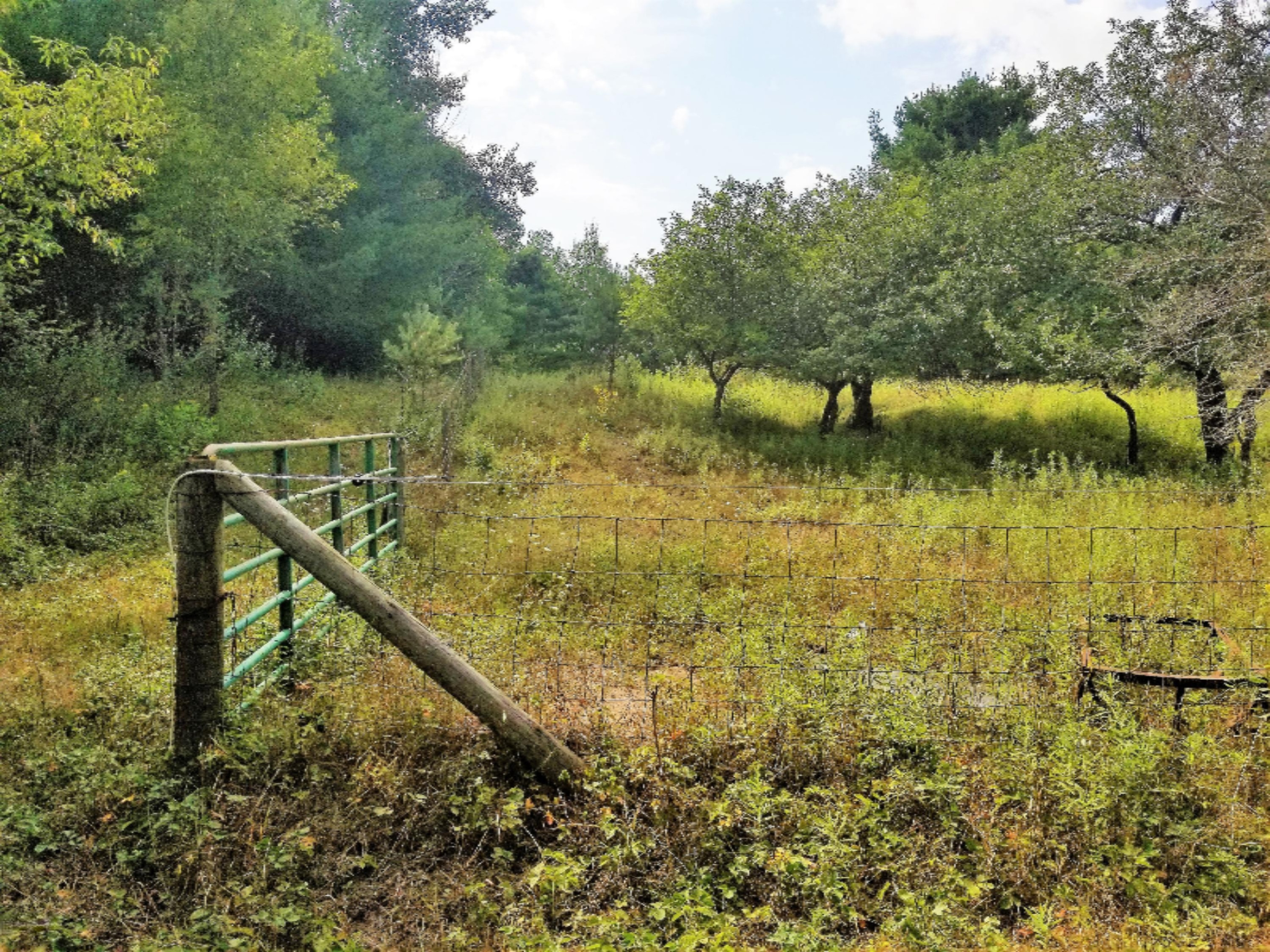 7932 South Saddler Road, Unit 2 Chase, MI 49623 - Photo 43 of 57 20180816_155623