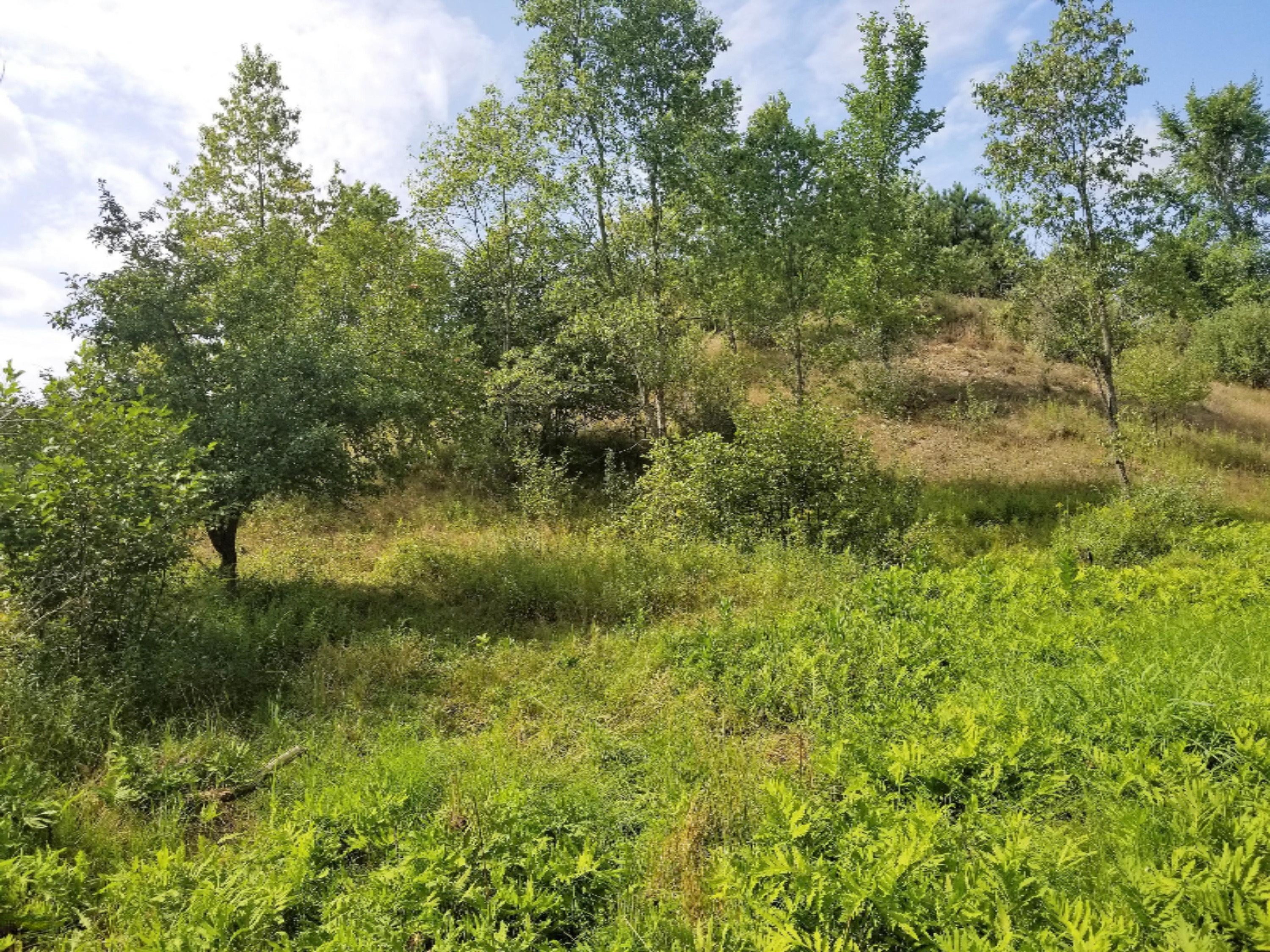 7932 South Saddler Road, Unit 2 Chase, MI 49623 - Photo 53 of 57 20180816_155122