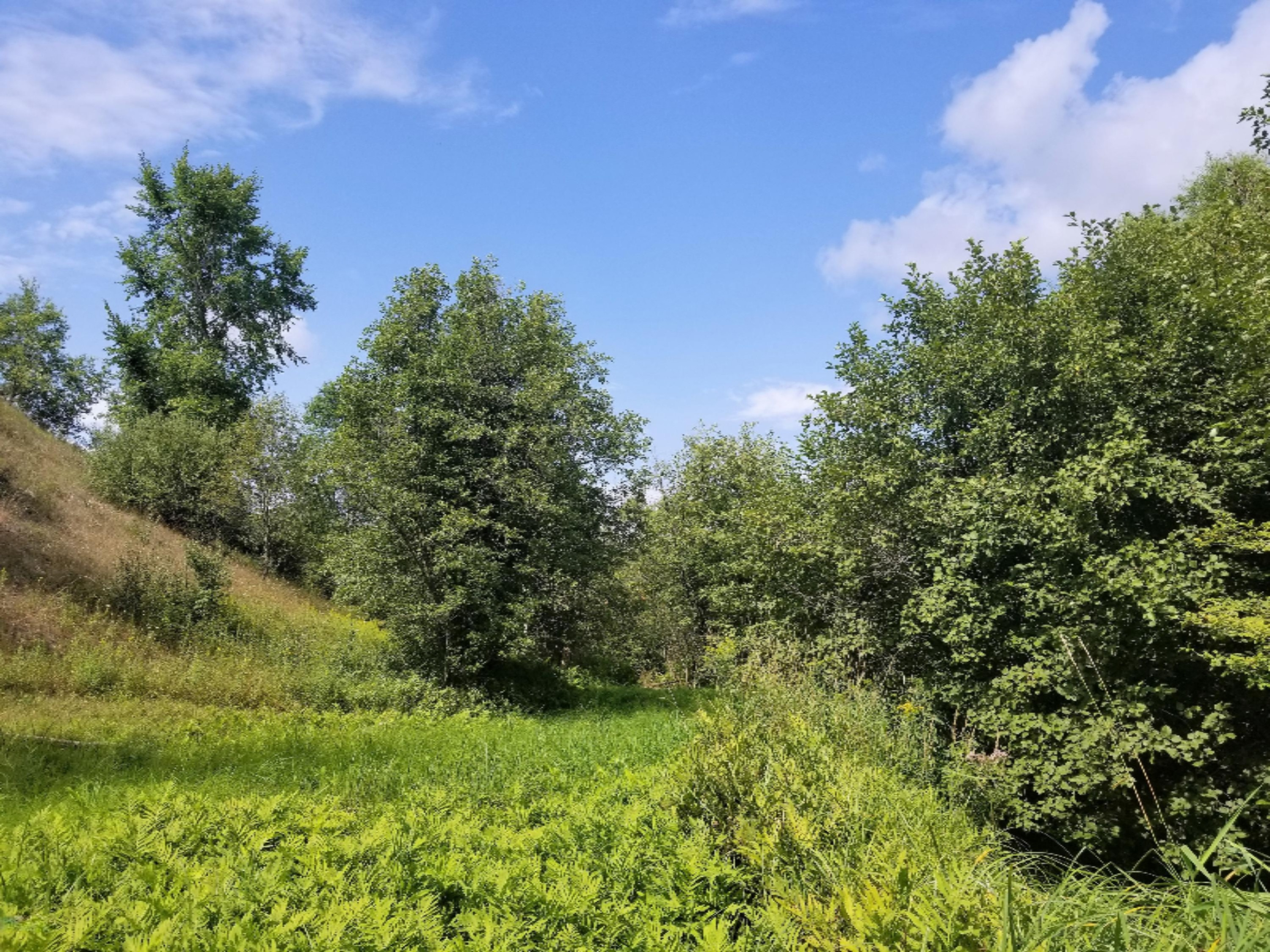 7932 South Saddler Road, Unit 2 Chase, MI 49623 - Photo 54 of 57 20180816_155159