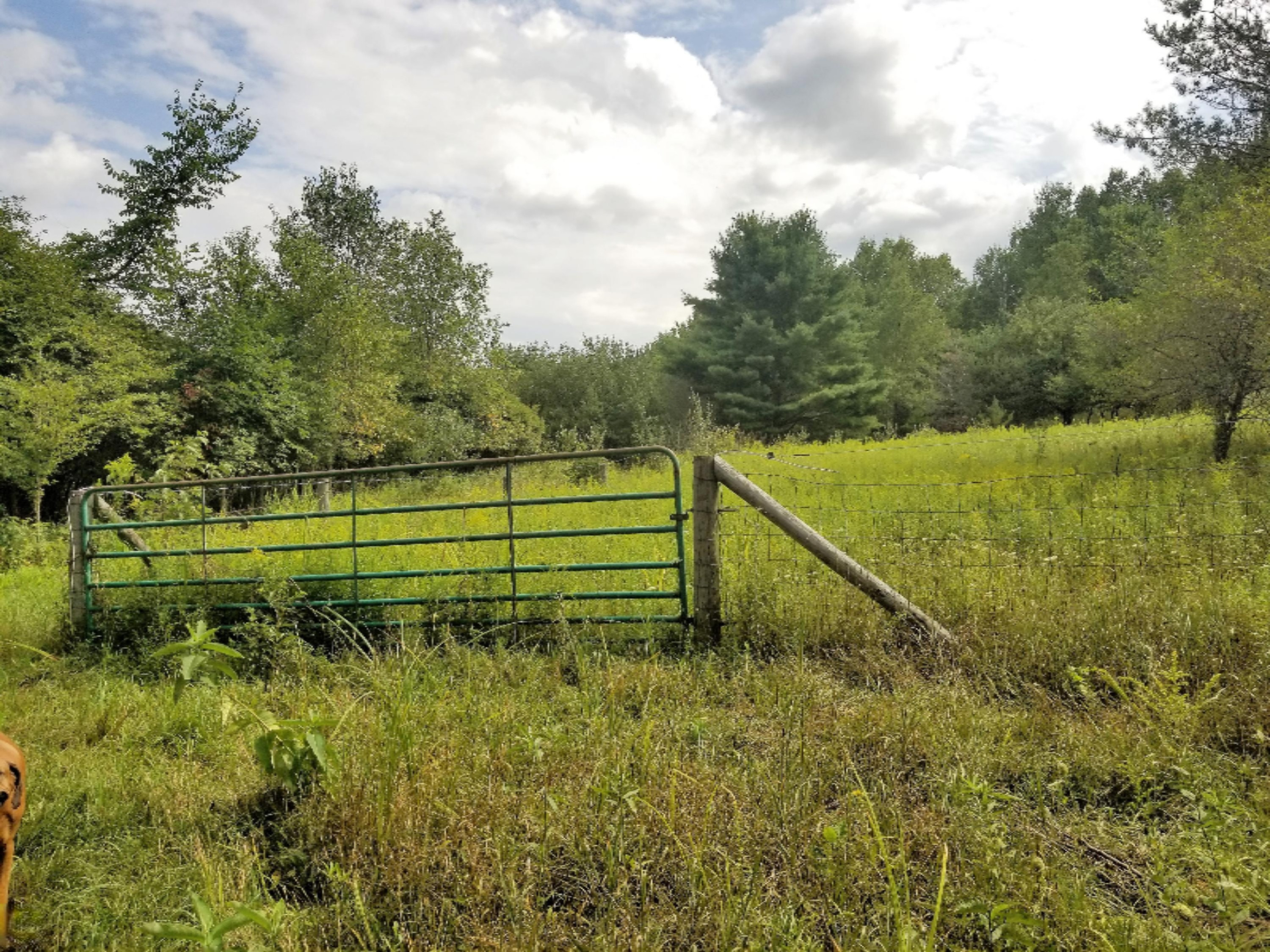 7932 South Saddler Road, Unit 2 Chase, MI 49623 - Photo 57 of 57 20180816_155539