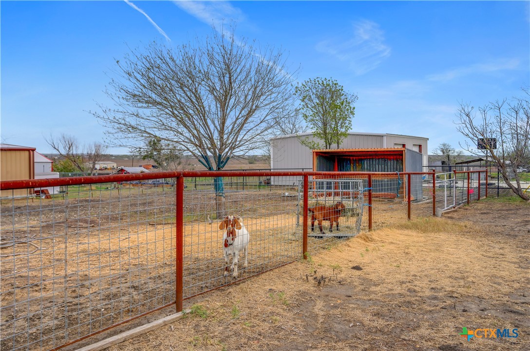2283 Schwab Road Seguin, TX 78155 - Photo 38 of 40 a view of a backyard with wooden fence
