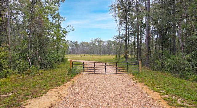 51034 George Road Tickfaw, LA 70466 - Photo 11 of 12