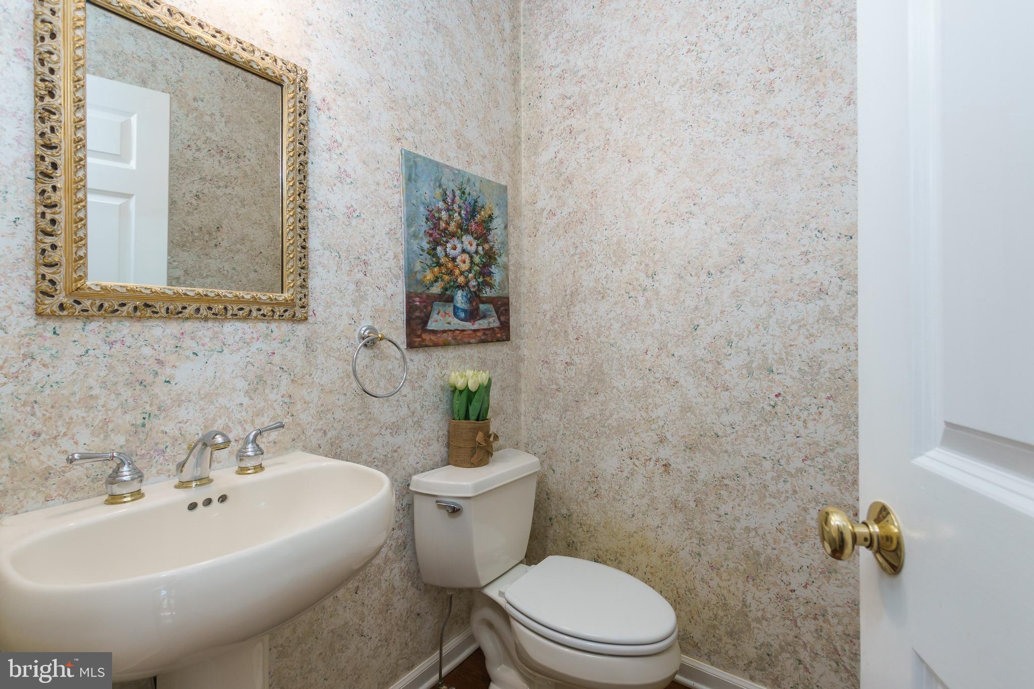 14 Innisbrook Road Skillman, NJ 08558 - Photo 27 of 57 First Floor Powder Room.
