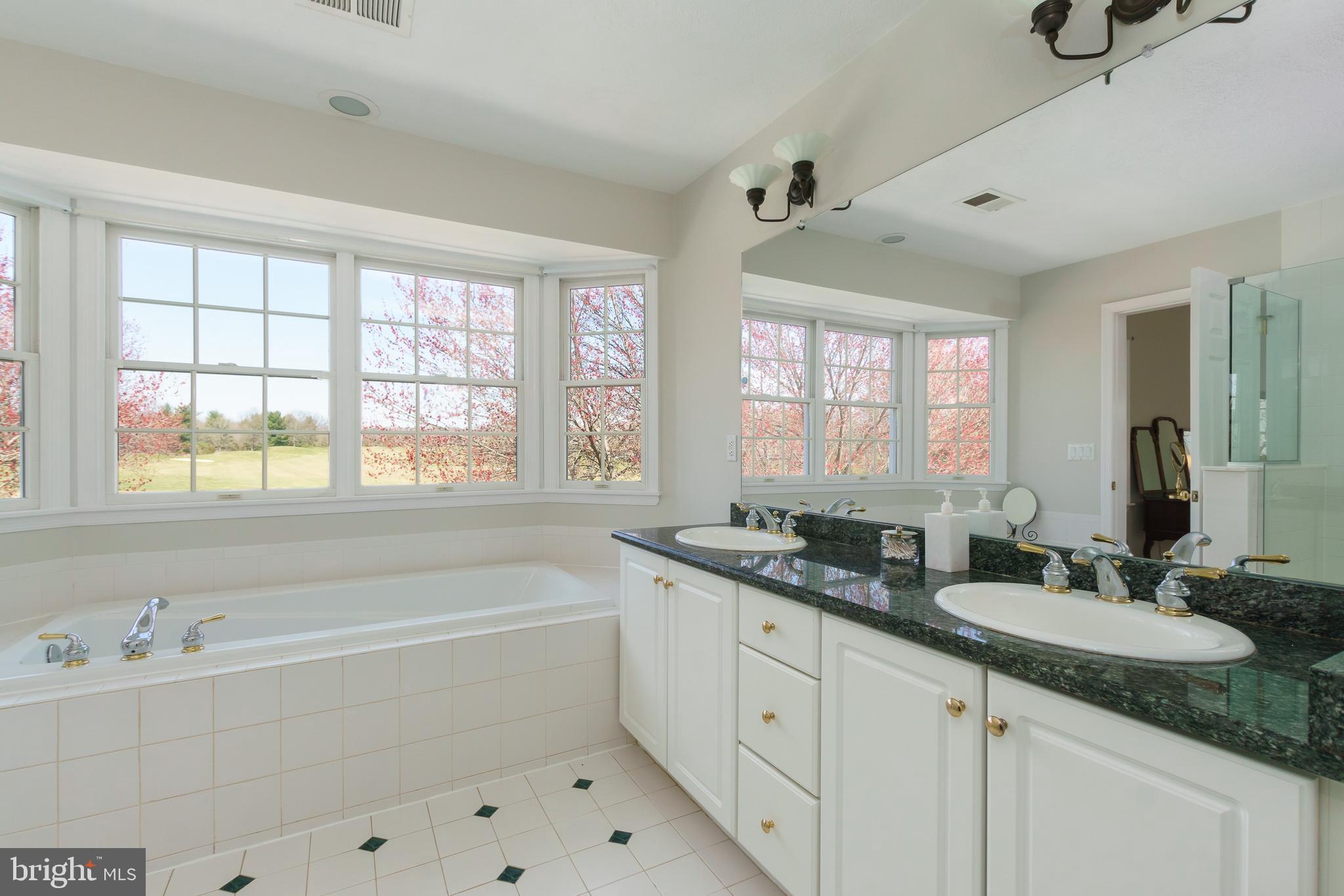 14 Innisbrook Road Skillman, NJ 08558 - Photo 31 of 57 Primary Bath with Soaking Tub & Stall Shower.