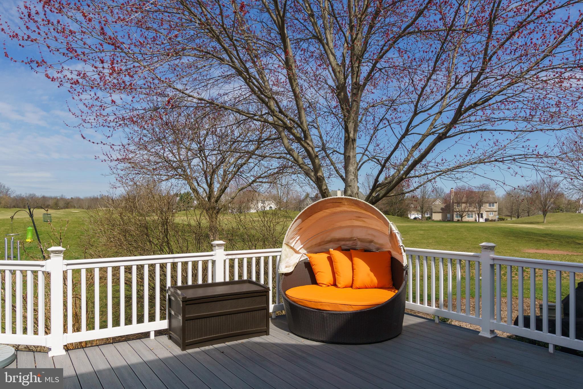 14 Innisbrook Road Skillman, NJ 08558 - Photo 45 of 57 Deck with views.