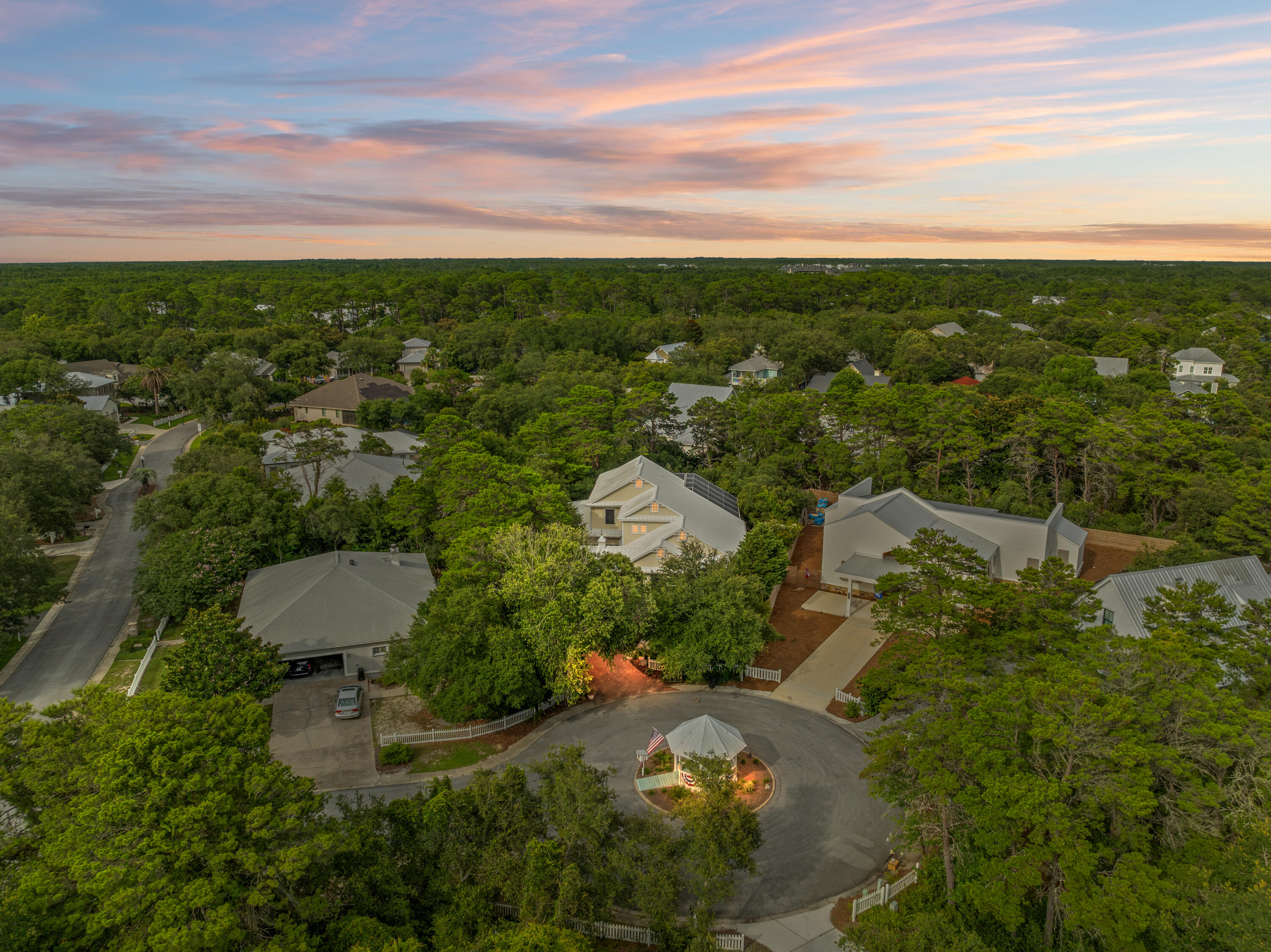 31 Seabreeze Place Inlet Beach, FL 32461 - Photo 56 of 67 an aerial view of residential houses with outdoor space and trees