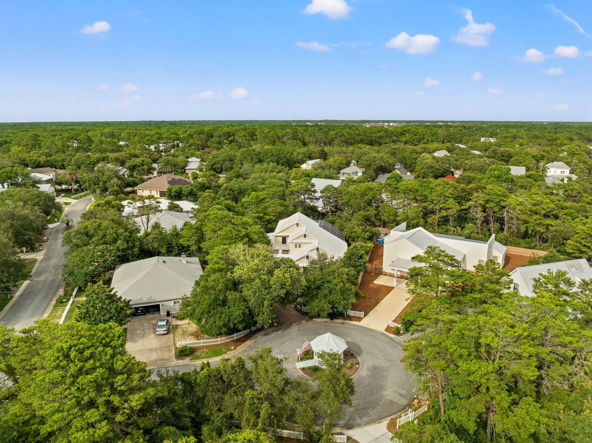 31 Seabreeze Place Inlet Beach, FL 32461 - Photo 60 of 67 a view of a city
