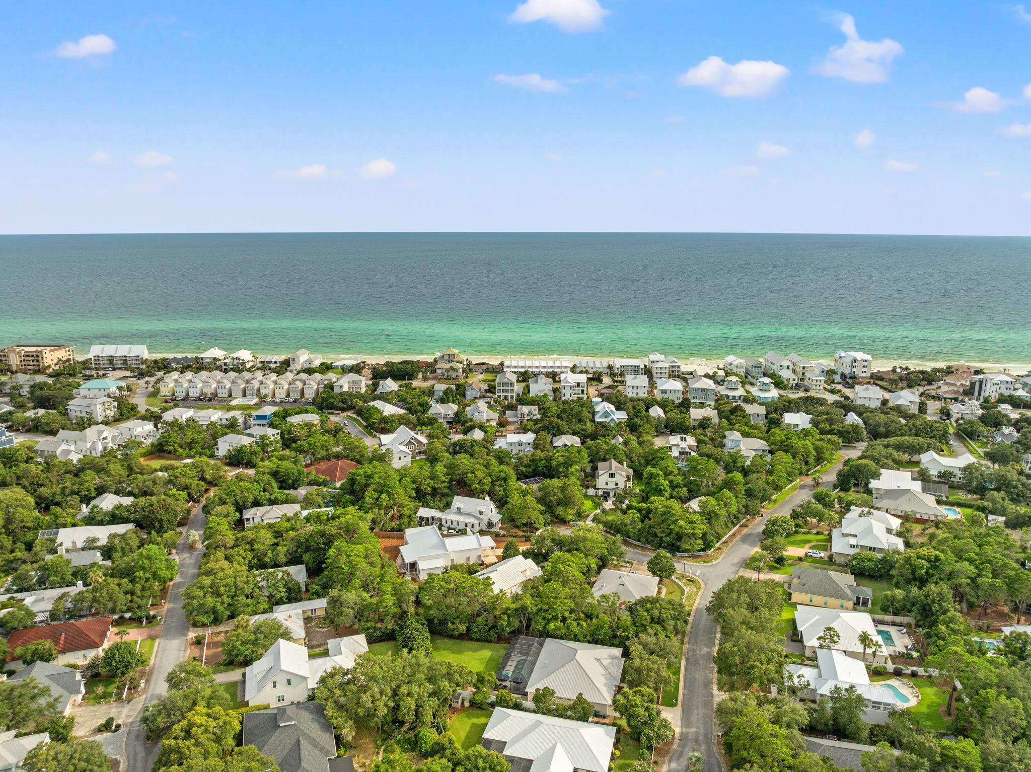 31 Seabreeze Place Inlet Beach, FL 32461 - Photo 67 of 67 an aerial view of a houses with a lake
