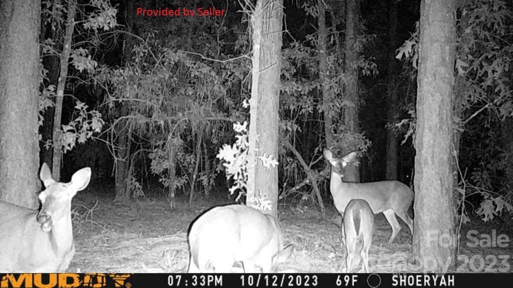 2584 Porter Road Cassatt, SC 29032 - Photo 26 of 28 Gallery Image 26