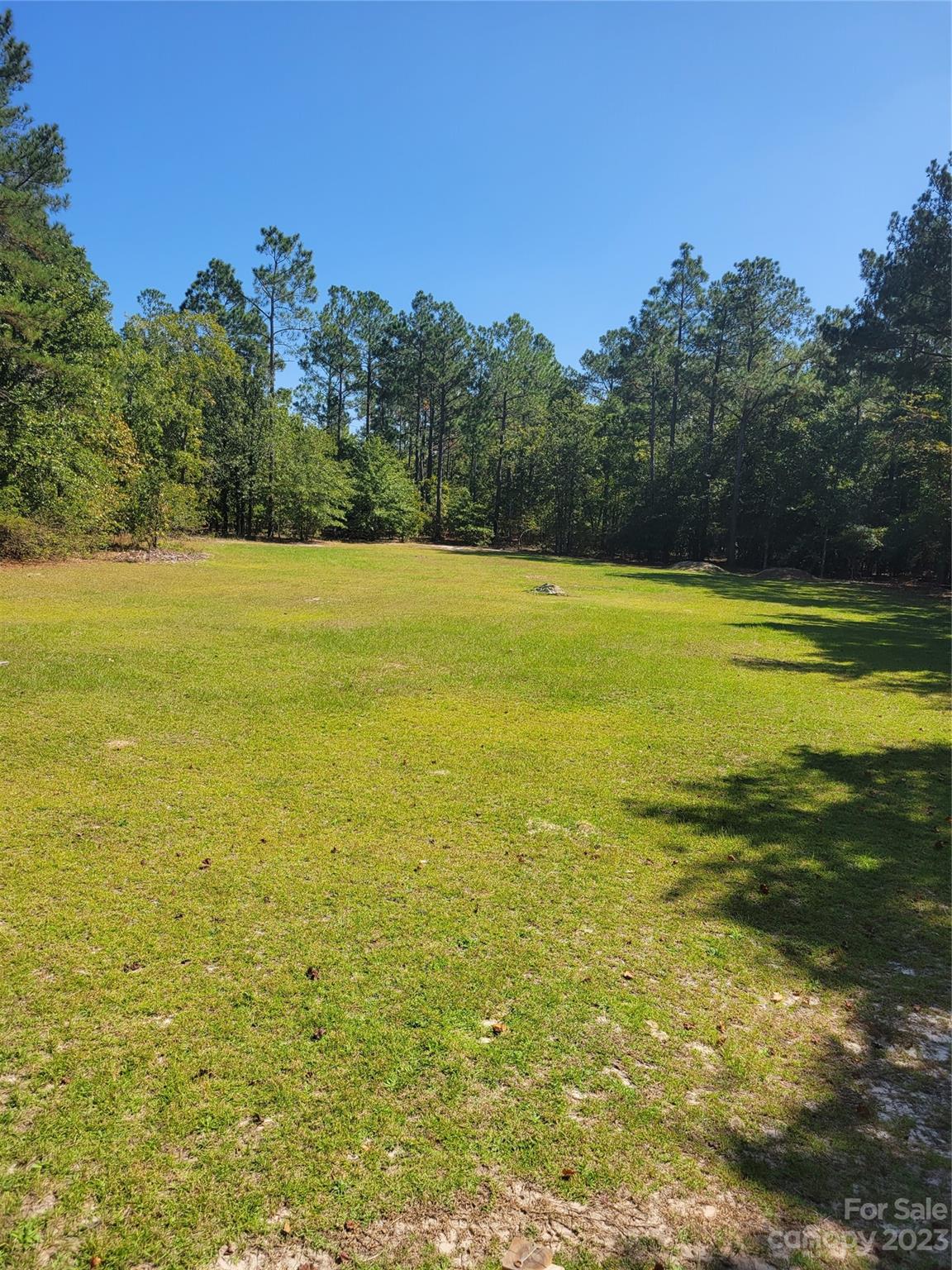 2584 Porter Road Cassatt, SC 29032 - Photo 4 of 28 Gallery Image 4