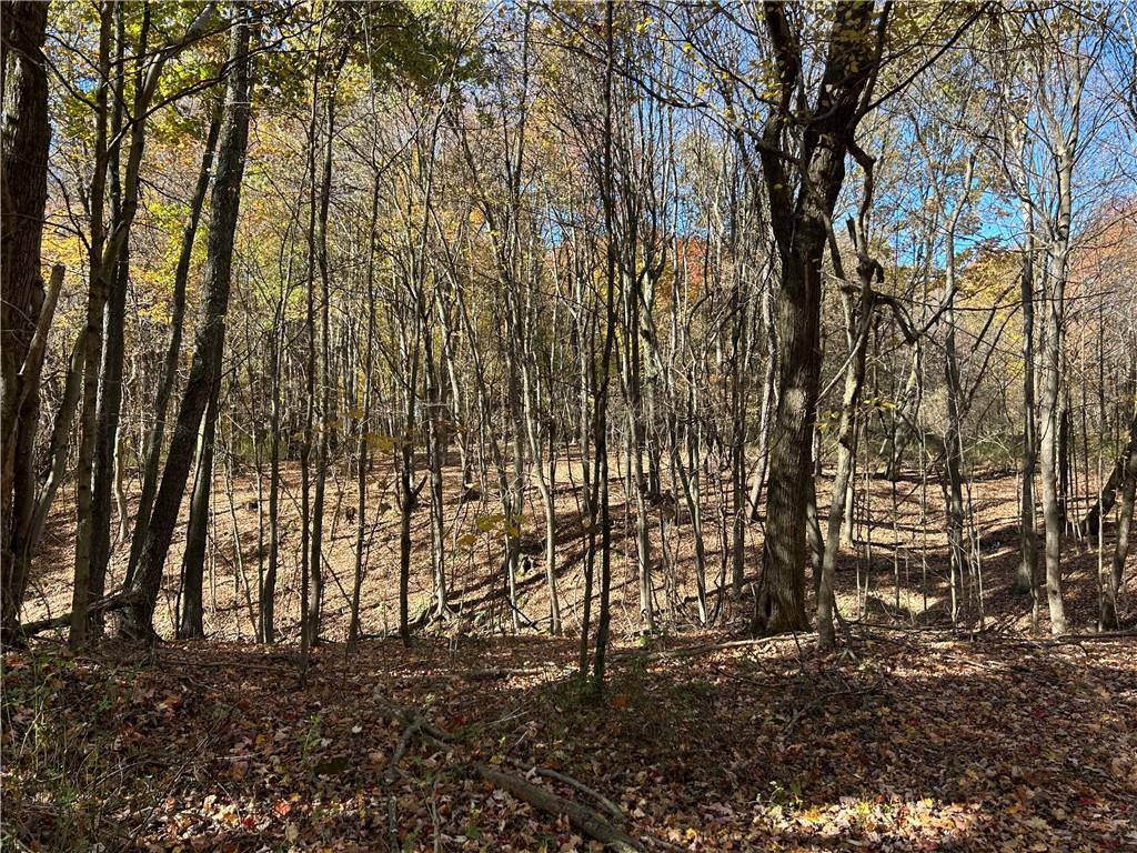 1038 Beatty School Road Greenville, PA 16125 - Photo 4 of 9 a backyard of a house with lots of green space