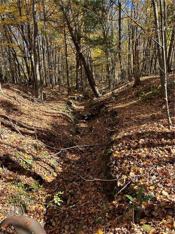 1038 Beatty School Road Greenville, PA 16125 - Photo 5 of 9 a view of tree