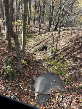a view of outdoor space and a yard