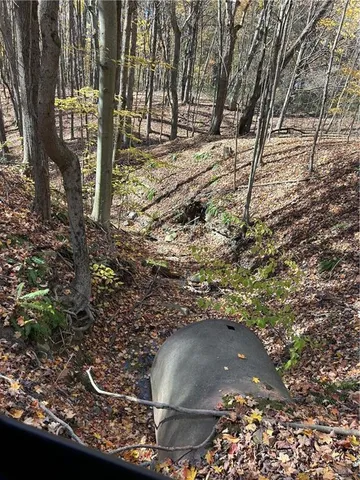 a view of outdoor space and a yard