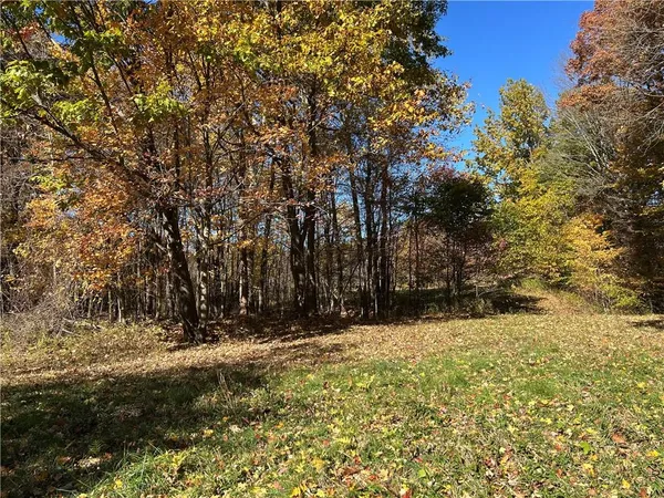 a view of outdoor space with deck and trees