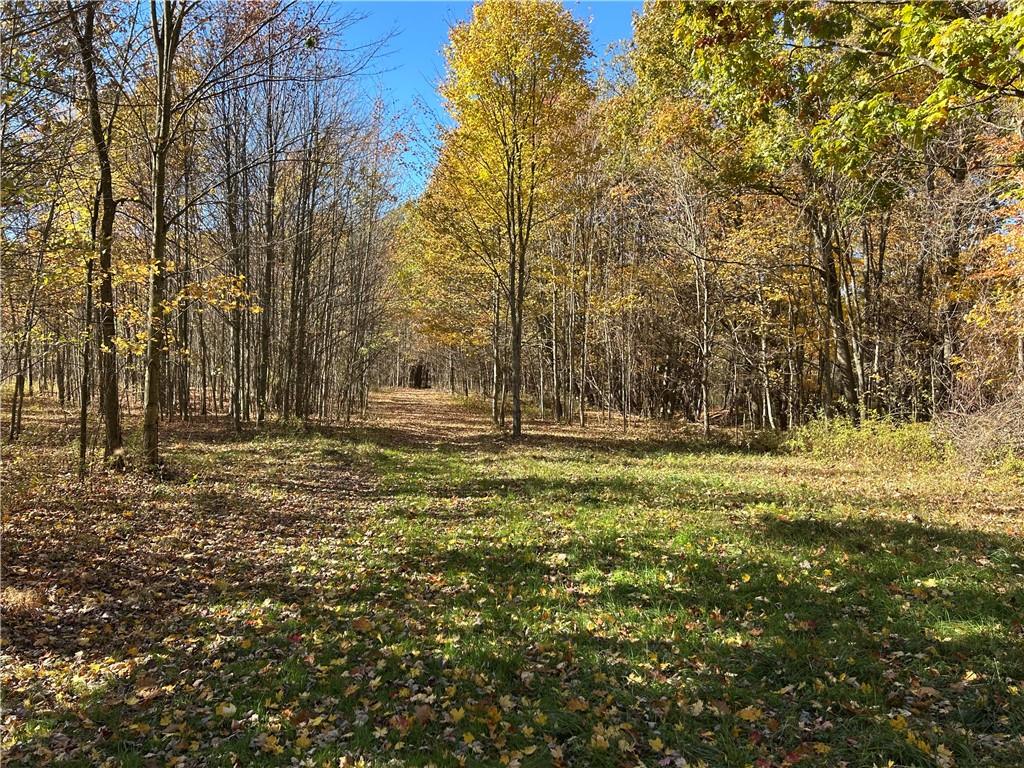 1038 Beatty School Road Greenville, PA 16125 - Photo 8 of 9 a view of outdoor space with deck and trees