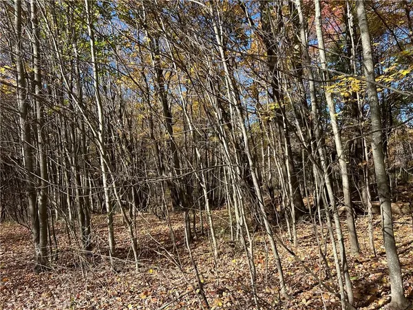 $265,000 | 1038 Beatty School Road, Greenville, PA 16125