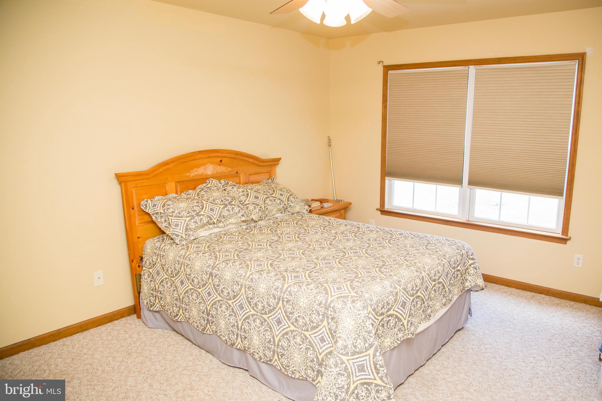 30902 Ward Road Salisbury, MD 21804 - Photo 37 of 50 Gallery Image 37