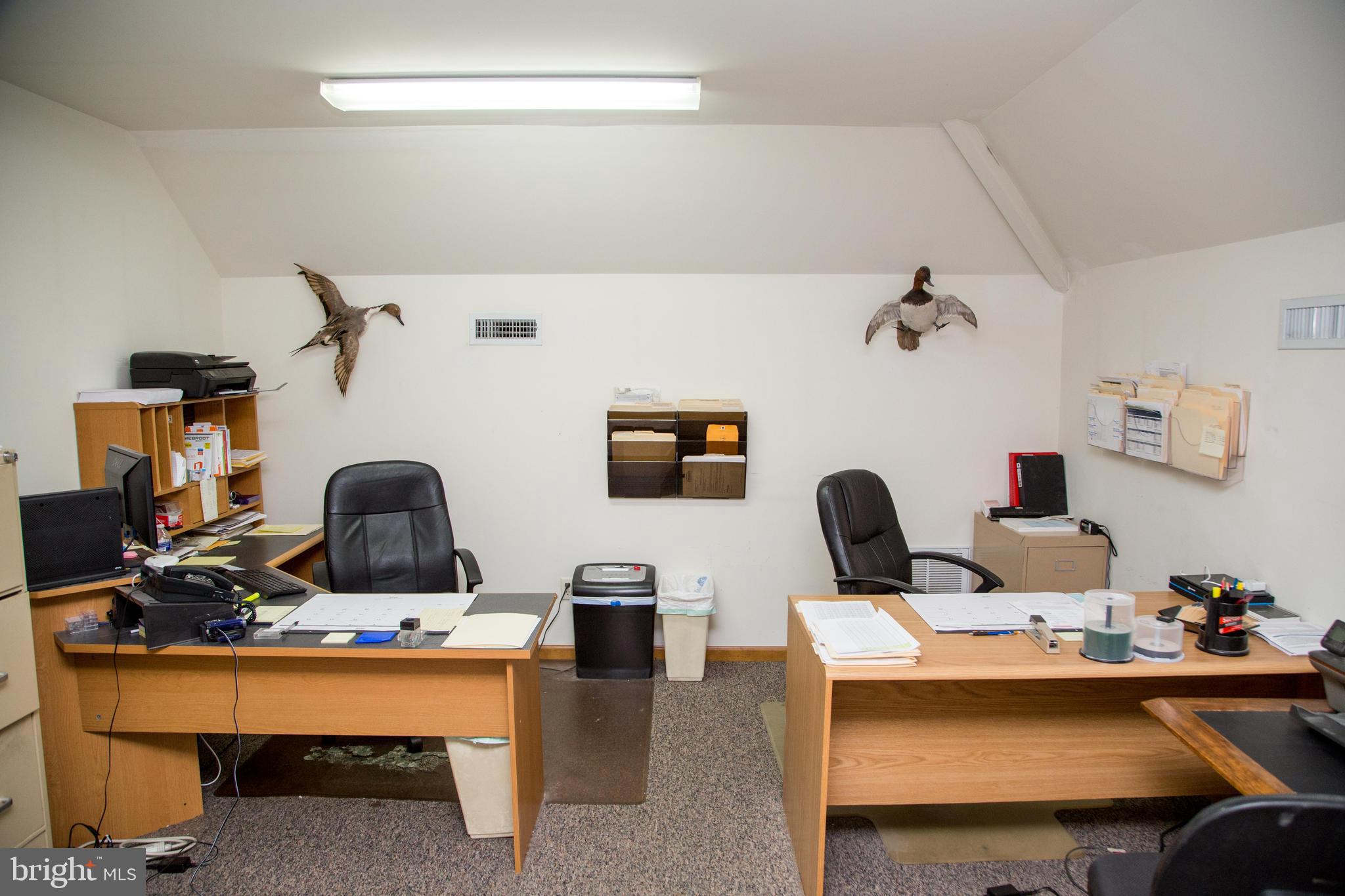 30902 Ward Road Salisbury, MD 21804 - Photo 43 of 50 Gallery Image 43
