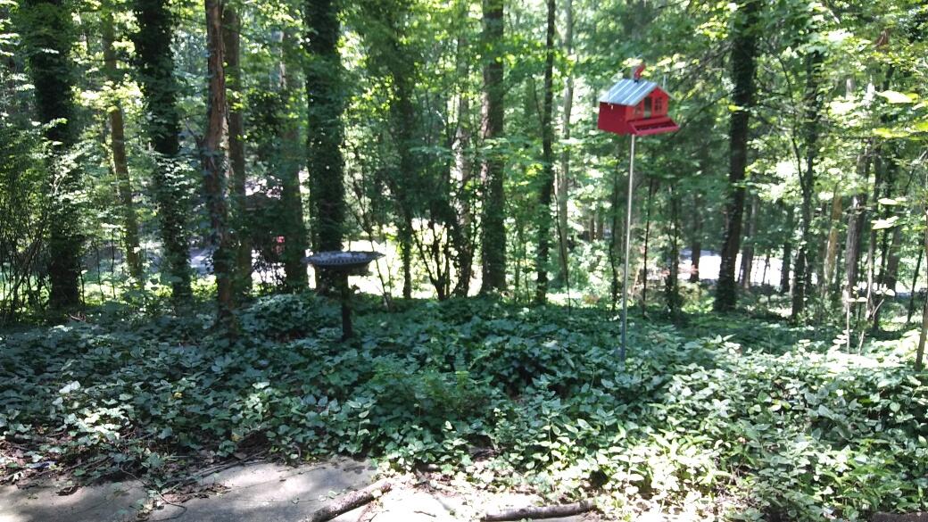 122 Wendover Circle Oak Ridge, TN 37830 - Photo 23 of 32 20170710_135113_resized