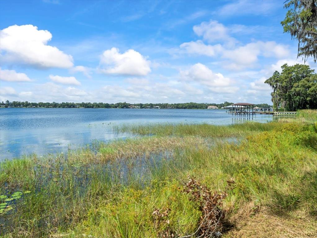 17924 Simms Road Odessa, FL 33556 - Photo 8 of 31