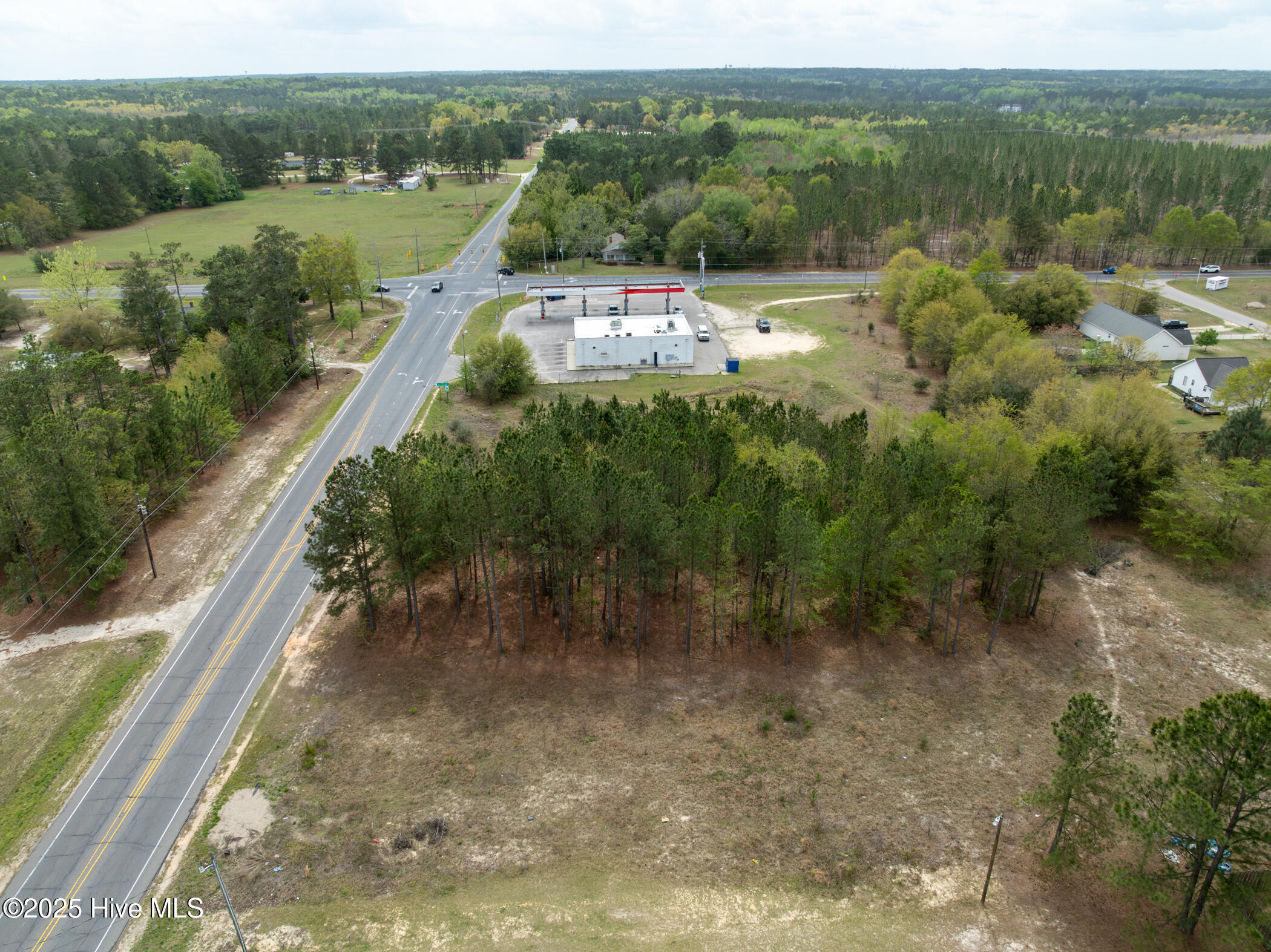 0 Wiregrass Road Rockingham, NC 28379 - Photo 15 of 22 Wiregrass Rd