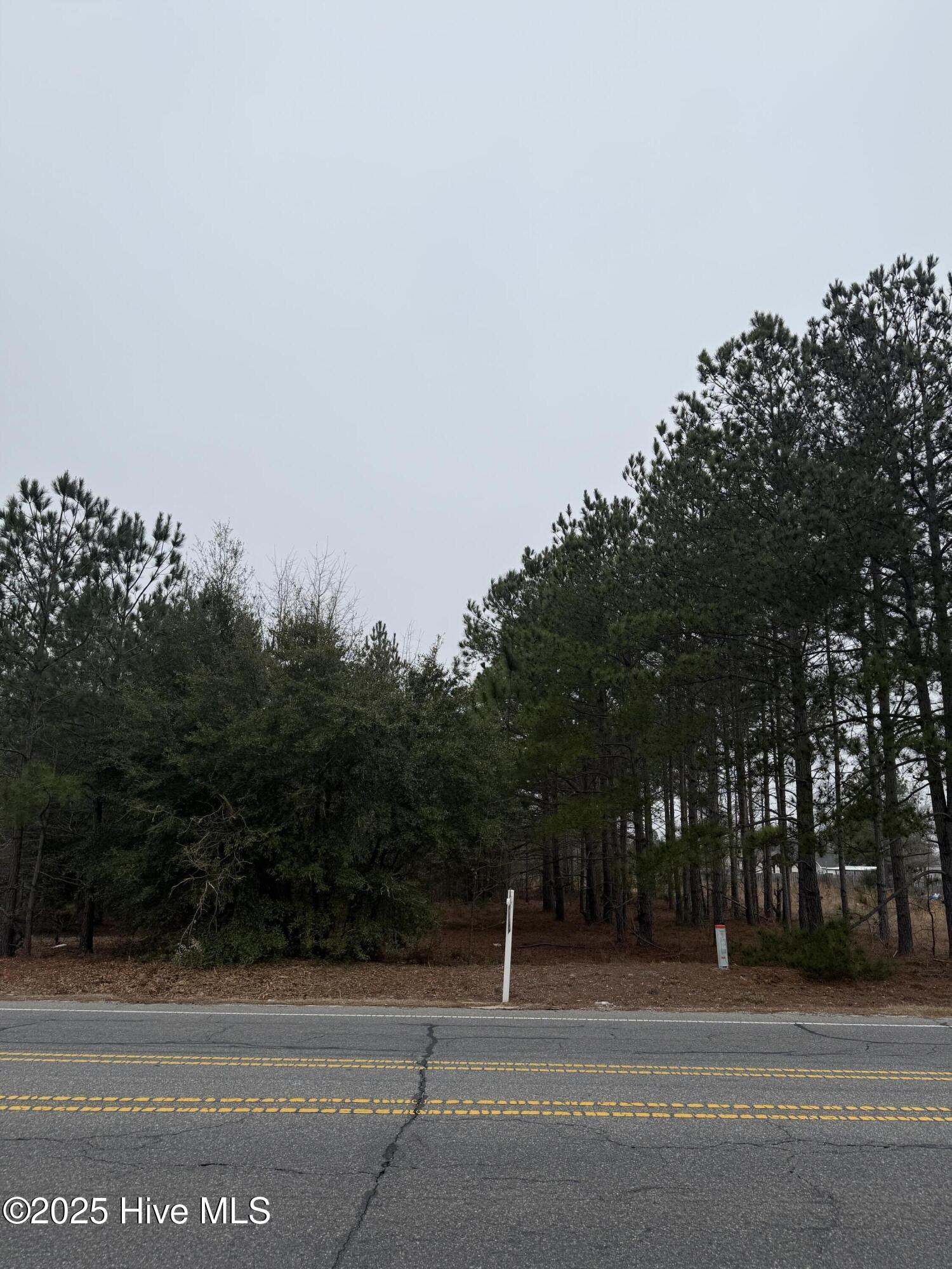 0 Wiregrass Road Rockingham, NC 28379 - Photo 20 of 22 Wiregrass Rd