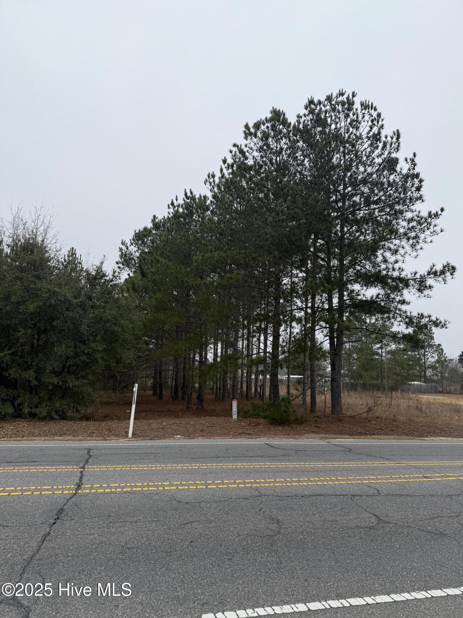 0 Wiregrass Road Rockingham, NC 28379 - Photo 21 of 22 Wiregrass Rd
