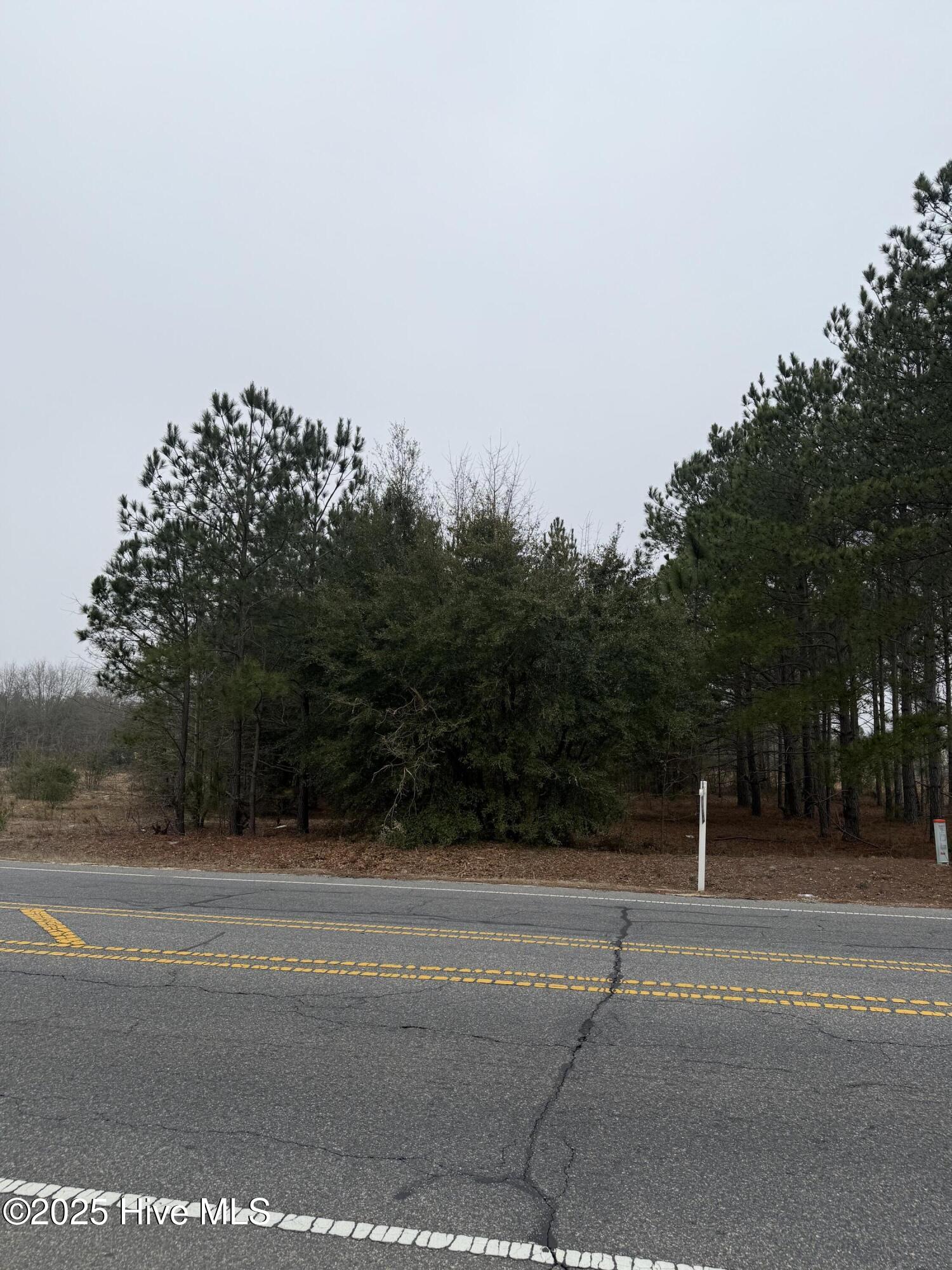 0 Wiregrass Road Rockingham, NC 28379 - Photo 22 of 22 Wiregrass Rd