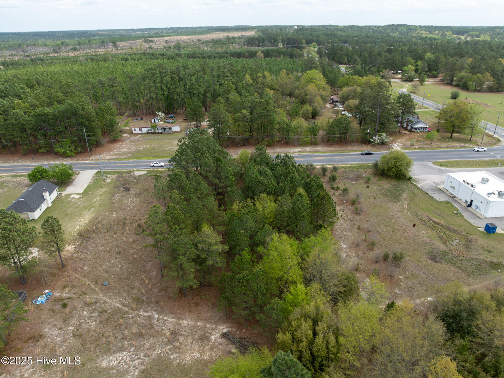 0 Wiregrass Road Rockingham, NC 28379 - Photo 6 of 22 Wiregrass Rd