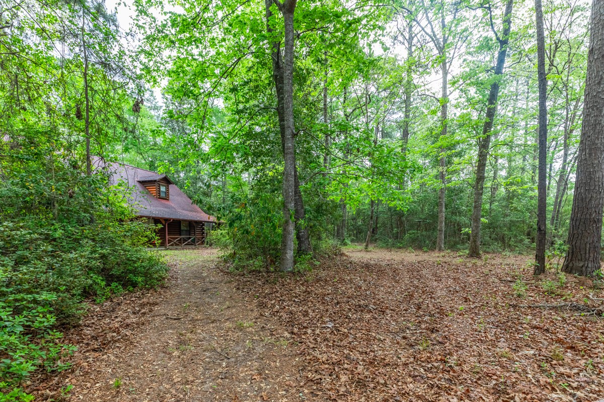 4864 Hob Warren Road Sour Lake, TX 77659 - Photo 2 of 36