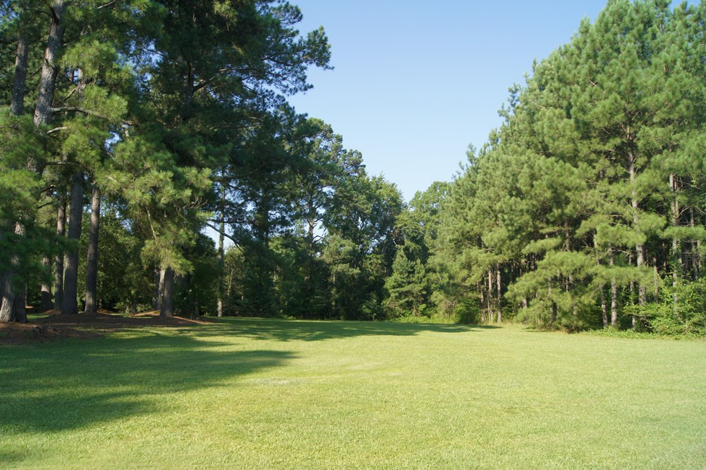 2402 Upper Mill Road Plum Branch, SC 29845 - Photo 23 of 71