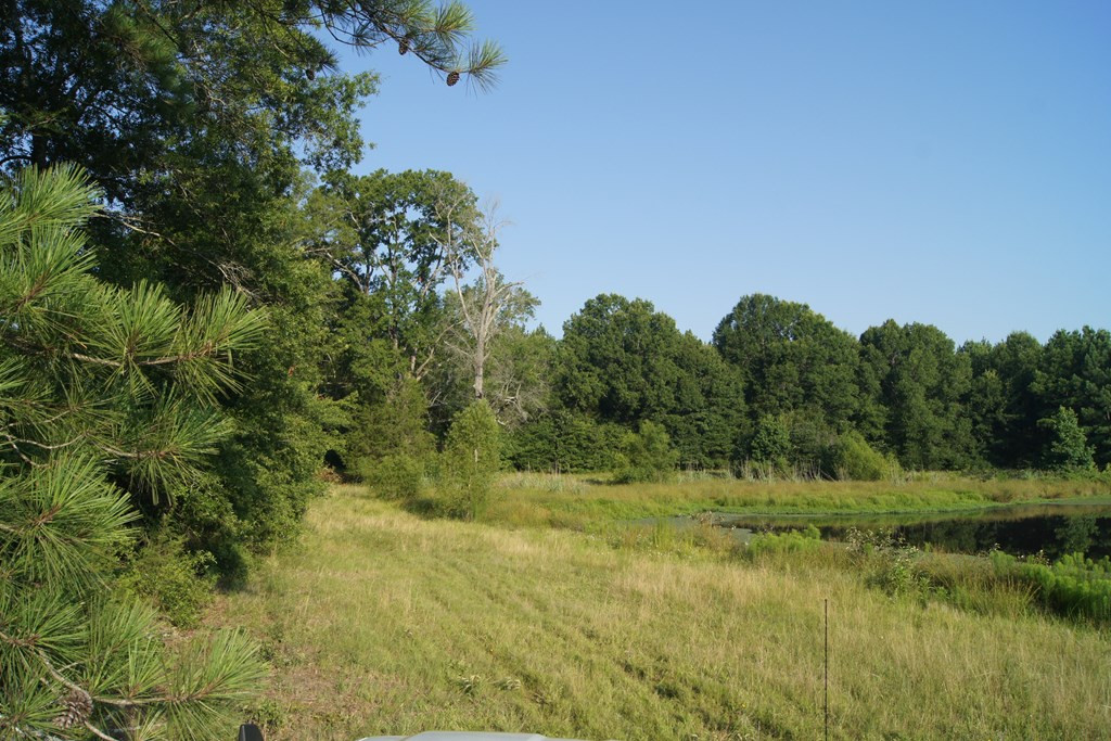2402 Upper Mill Road Plum Branch, SC 29845 - Photo 4 of 71
